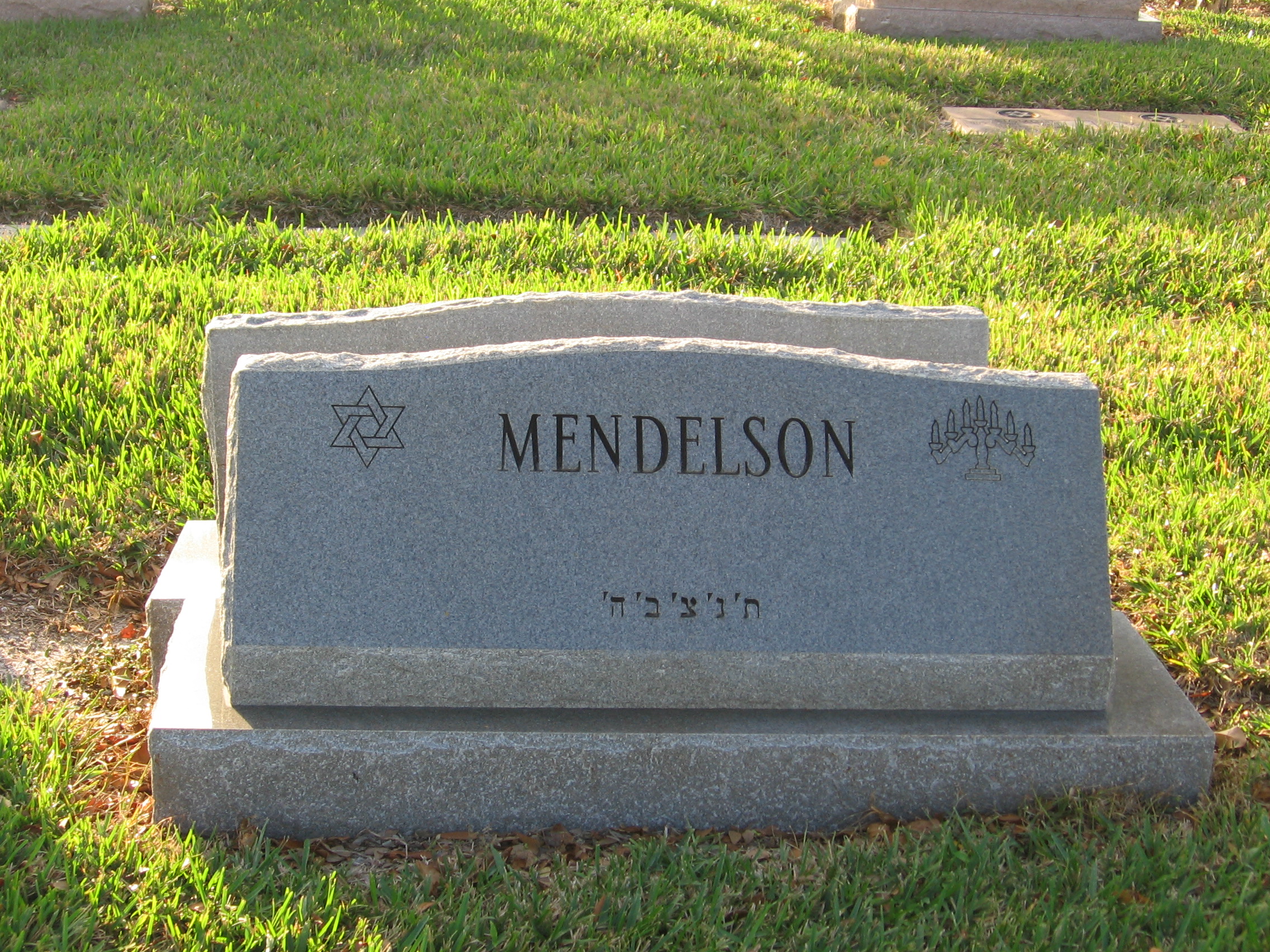 Bernard A Mendelson