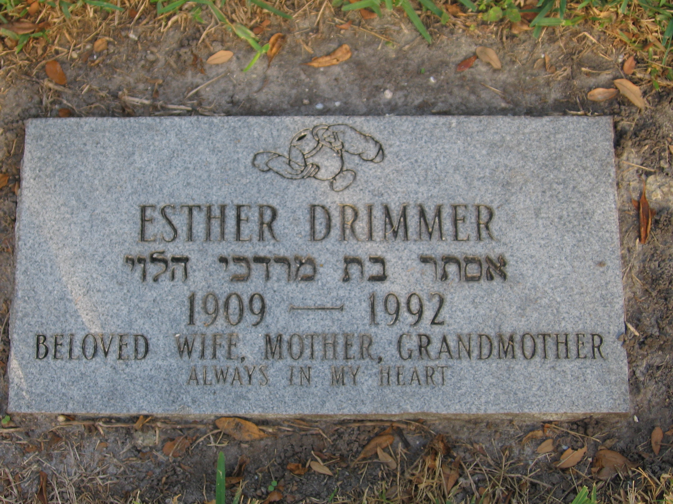 Esther Drimmer