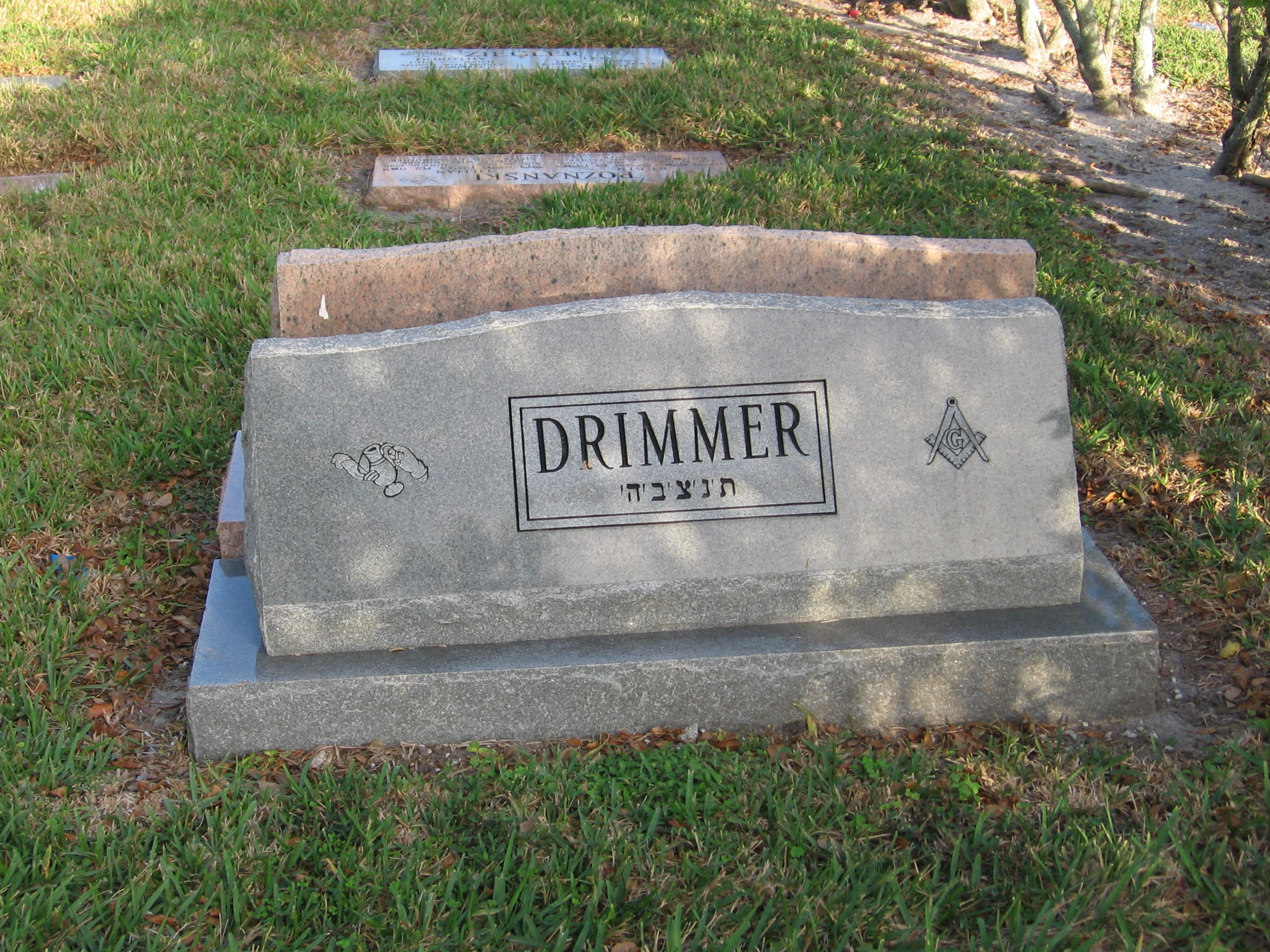 Esther Drimmer
