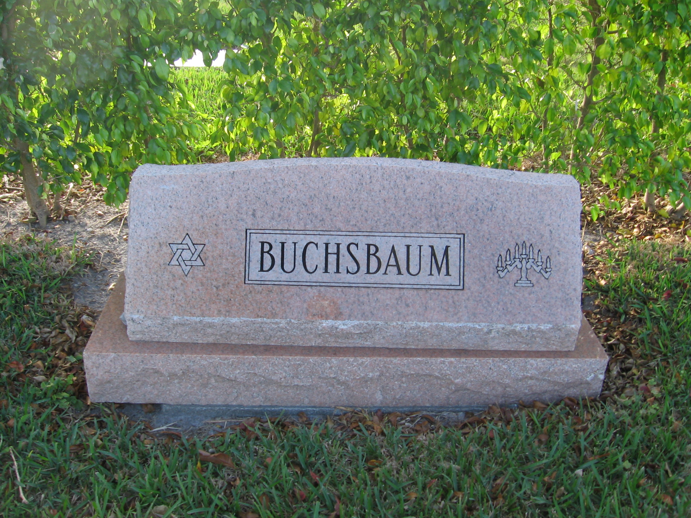Alfred Buchsbaum