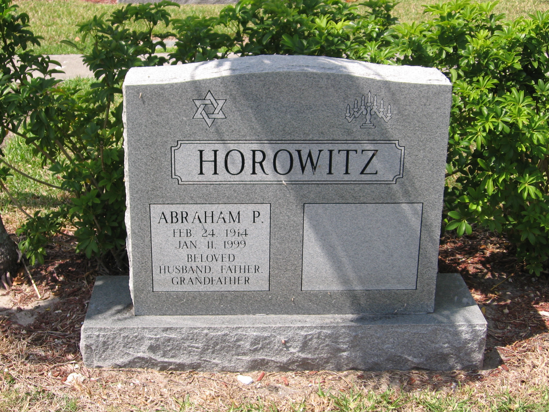 Abraham P Horowitz