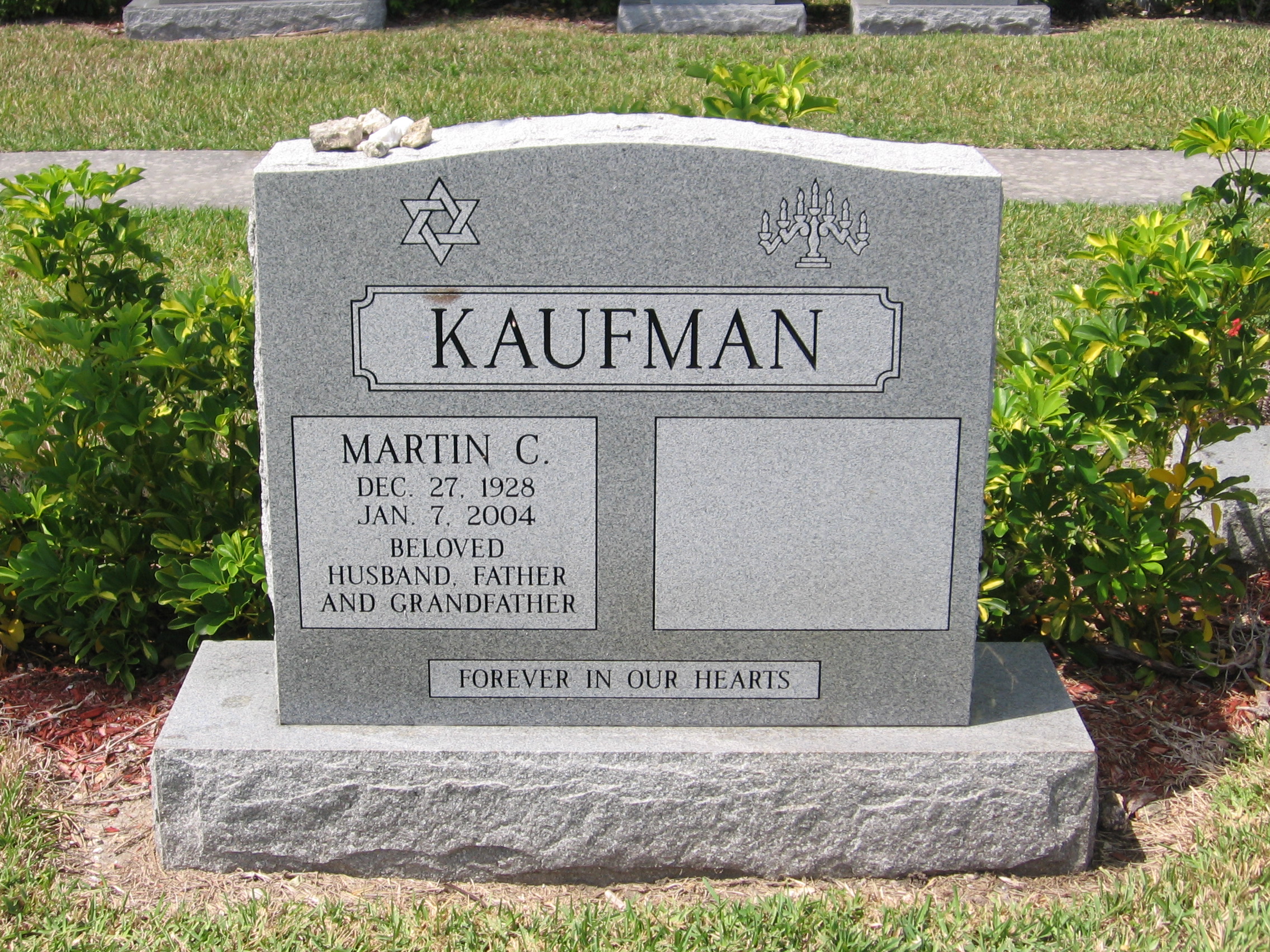 Martin C Kaufman