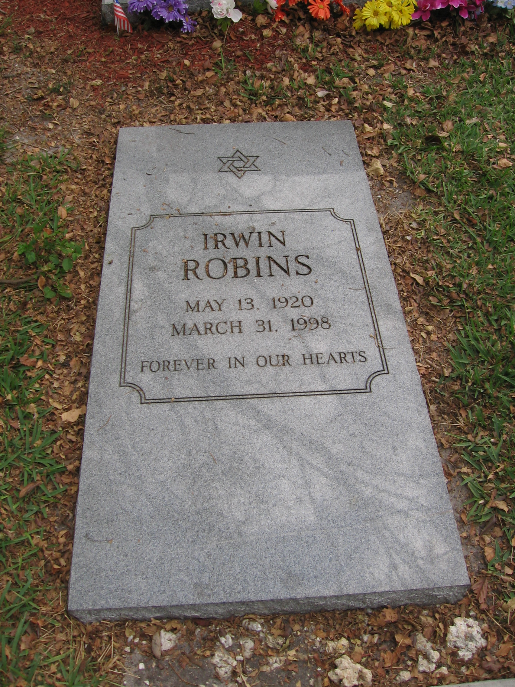 Irwin Robins