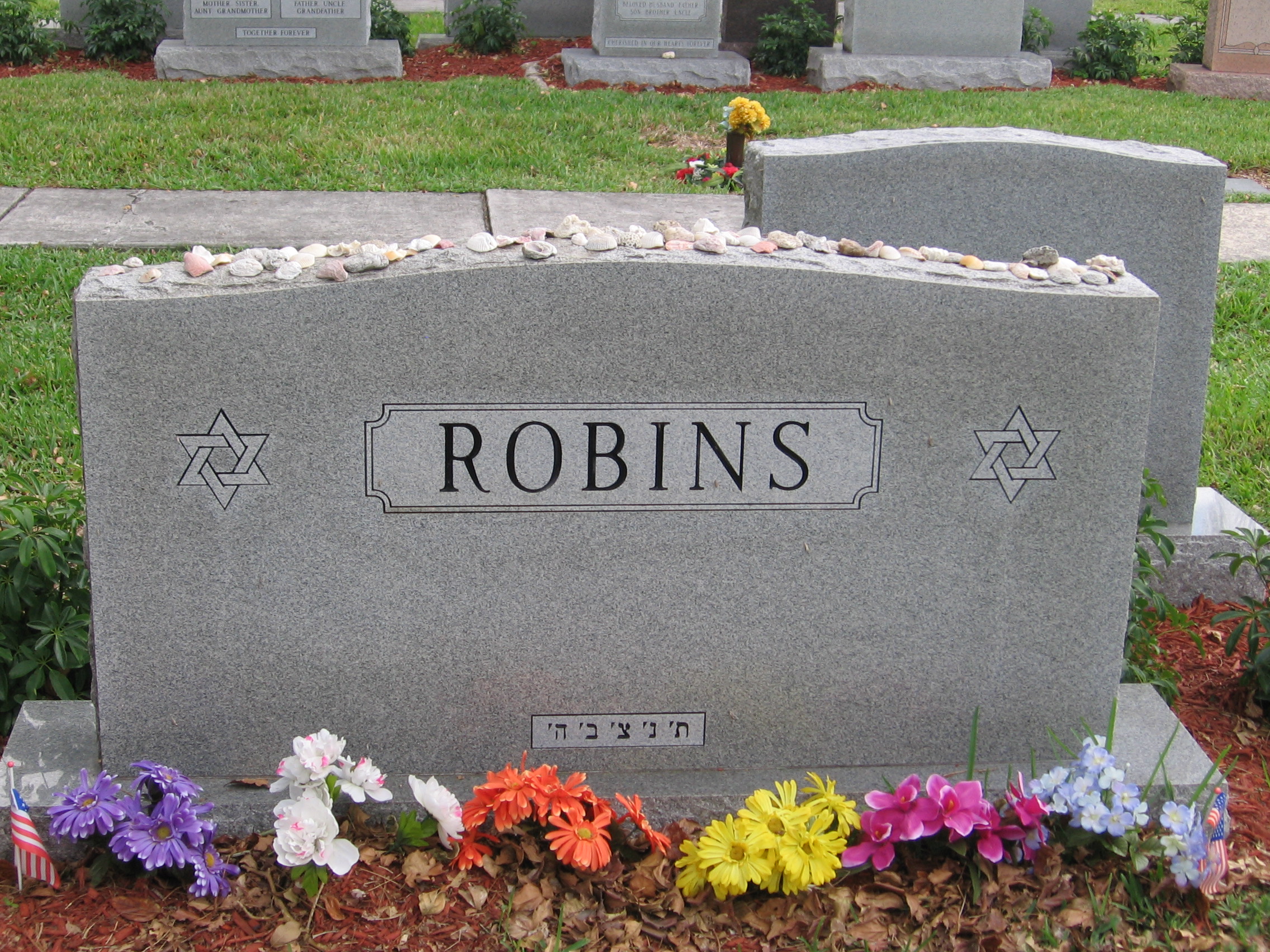 Irwin Robins