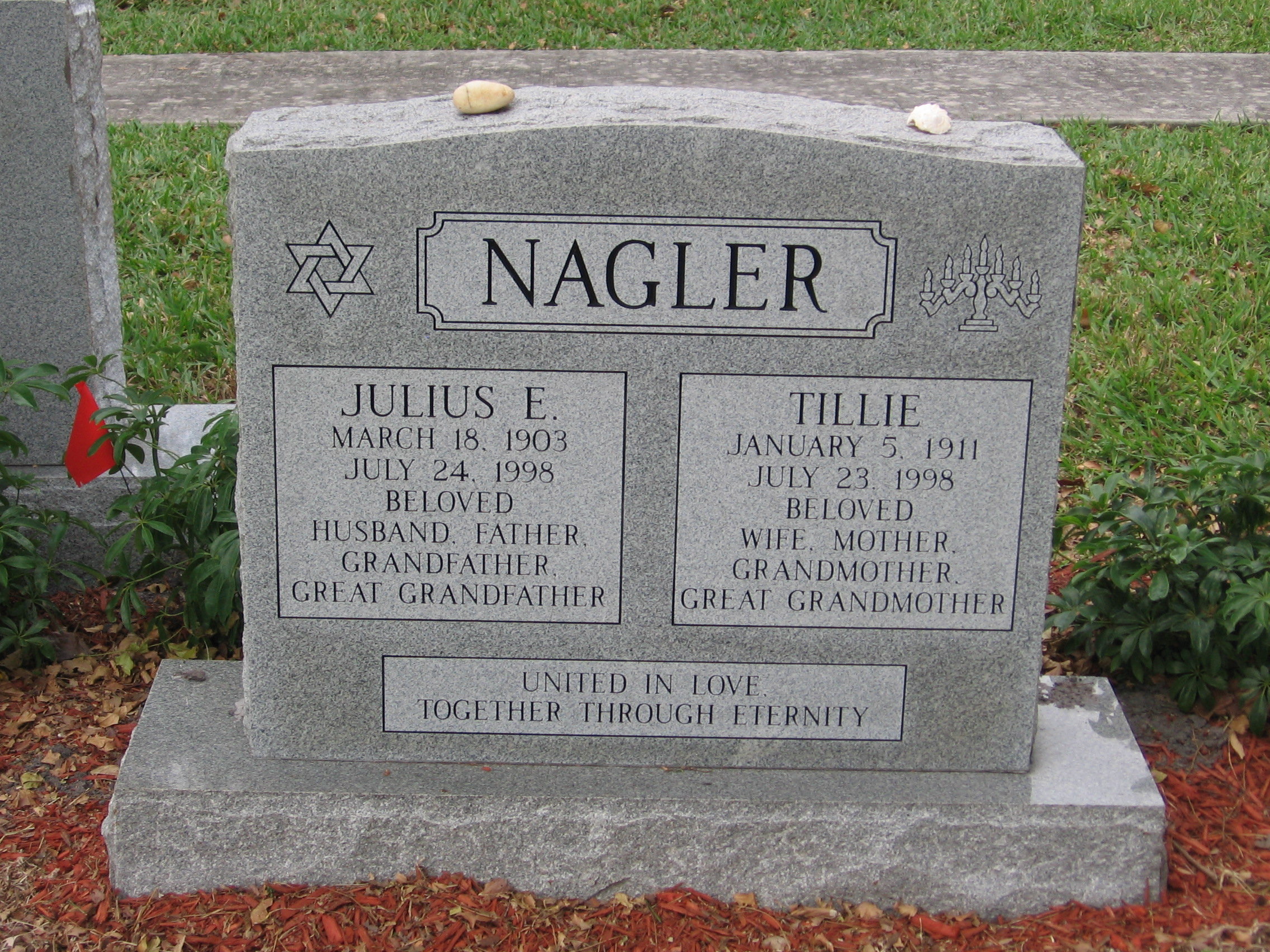Julius E Nagler