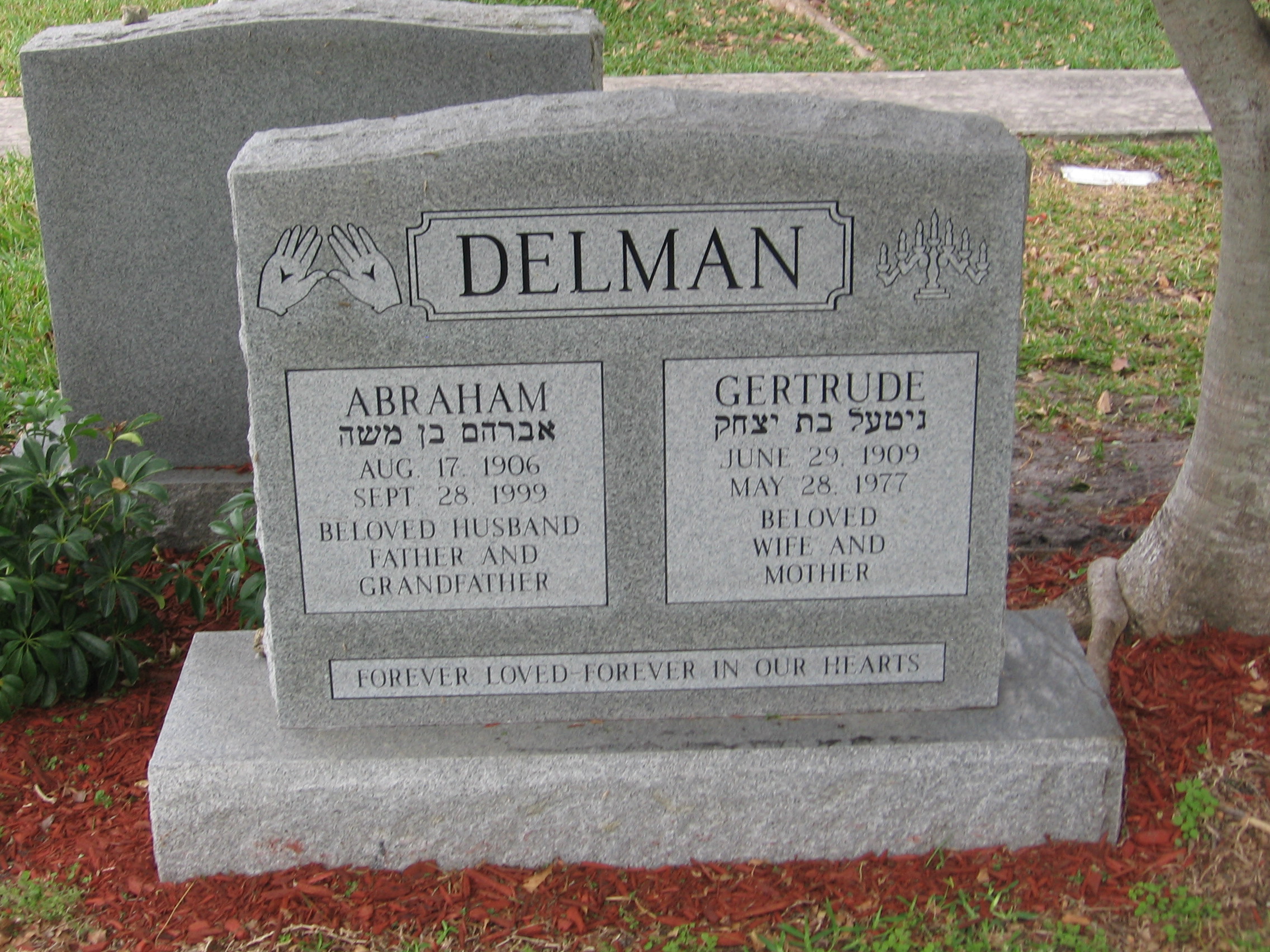Abraham Delman