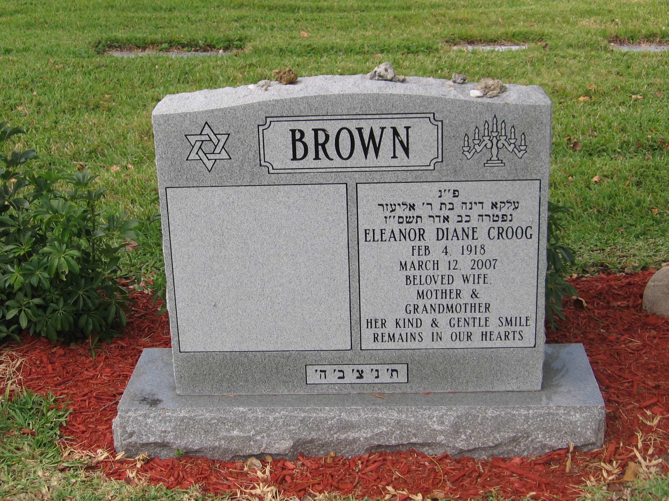 Eleanor Diane Croog Brown
