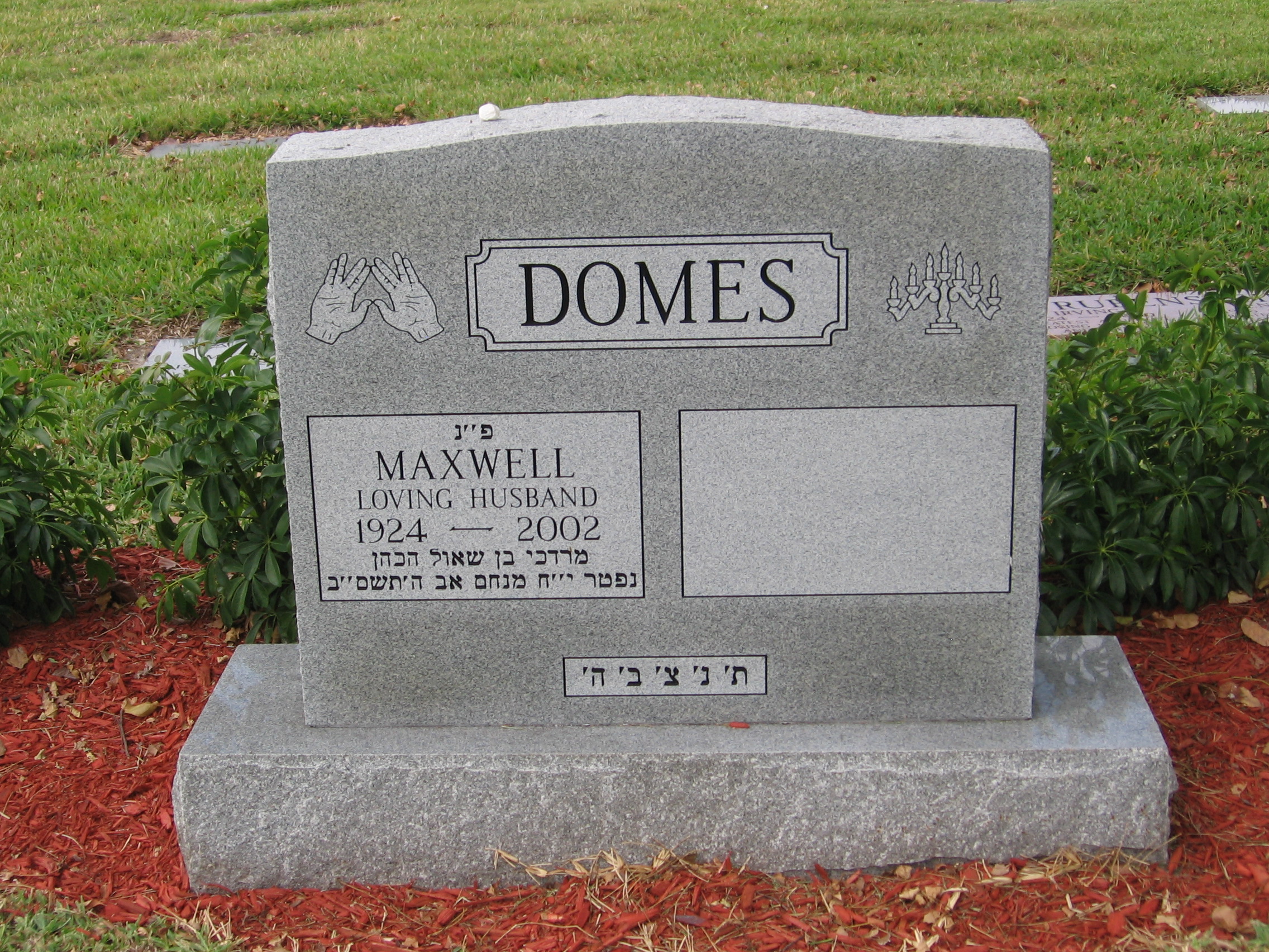 Maxwell Domes