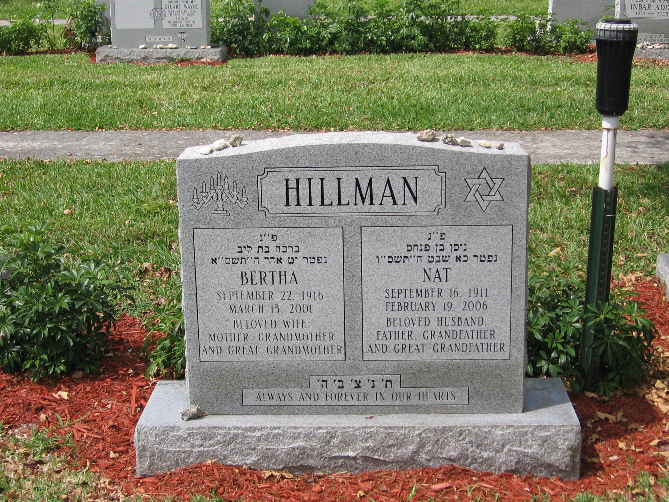 Nat Hillman