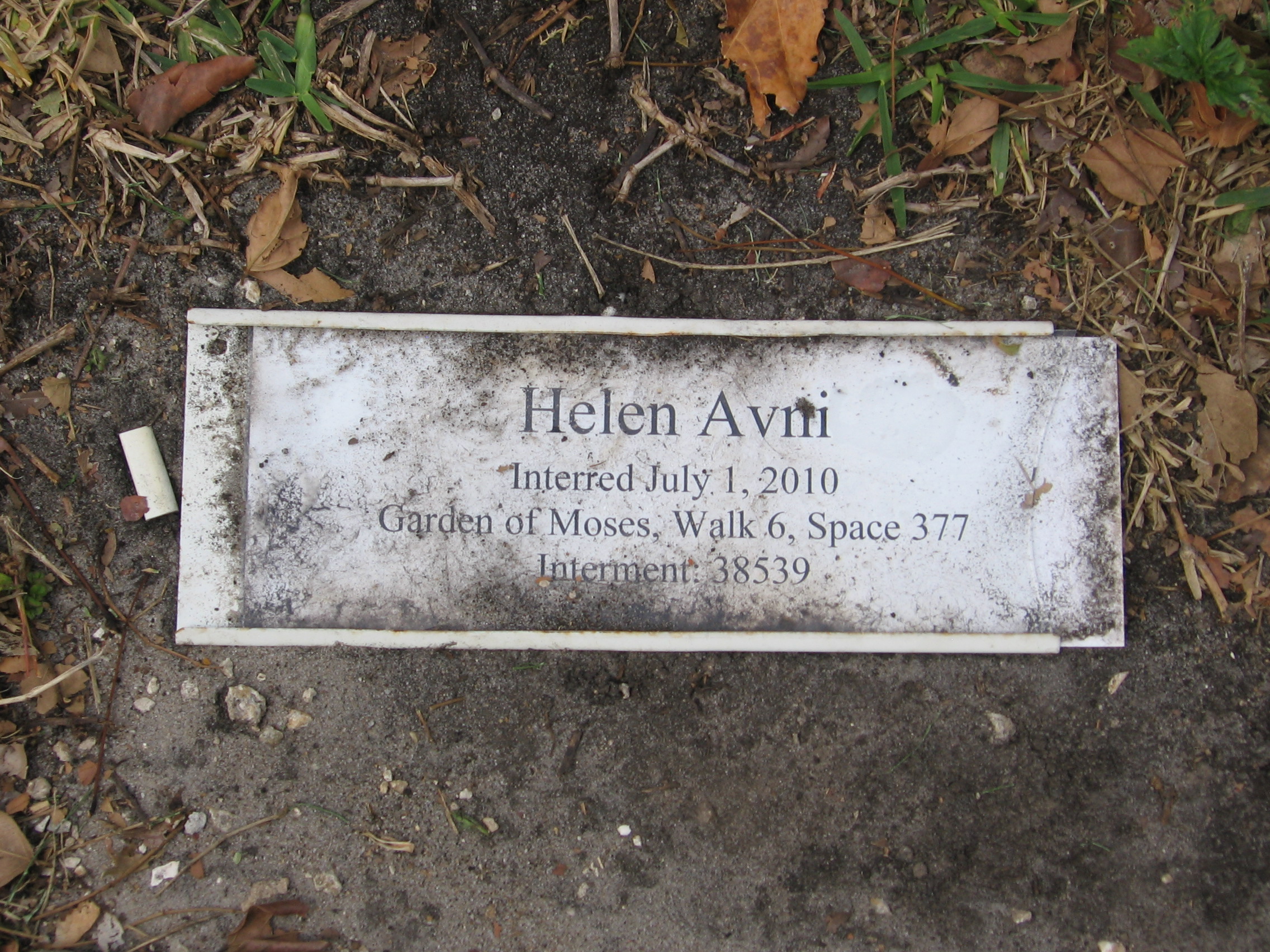 Helen Avni