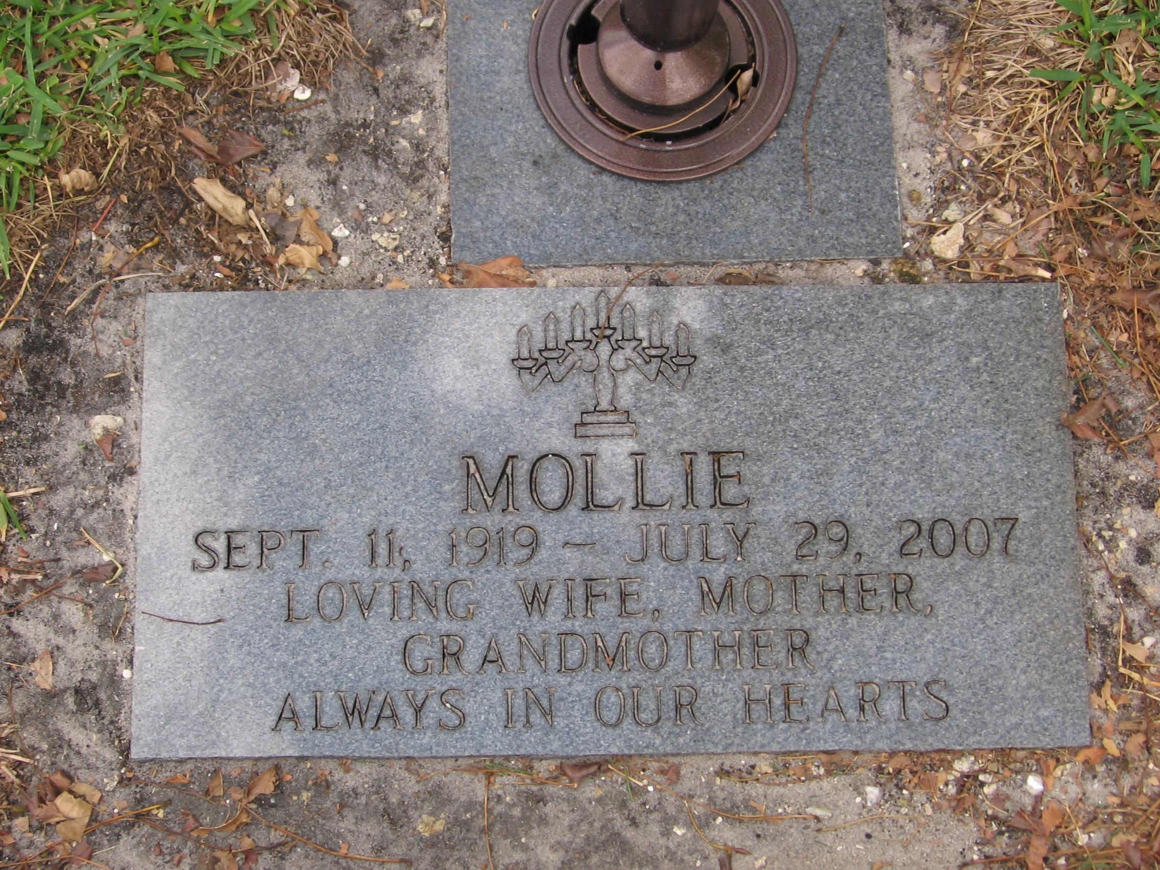 Mollie Brietstein