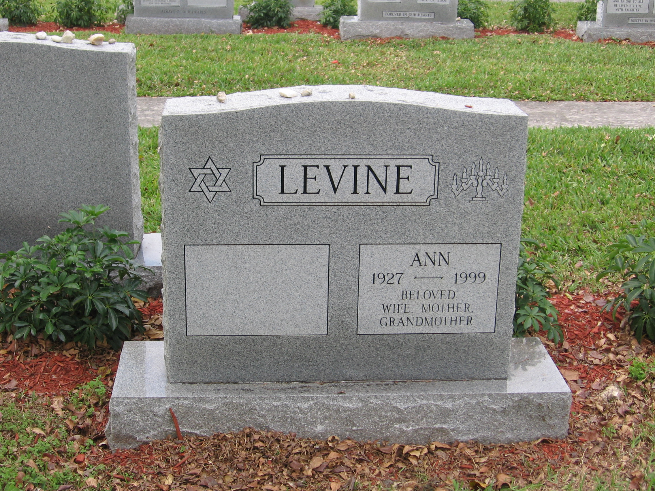 Ann Levine