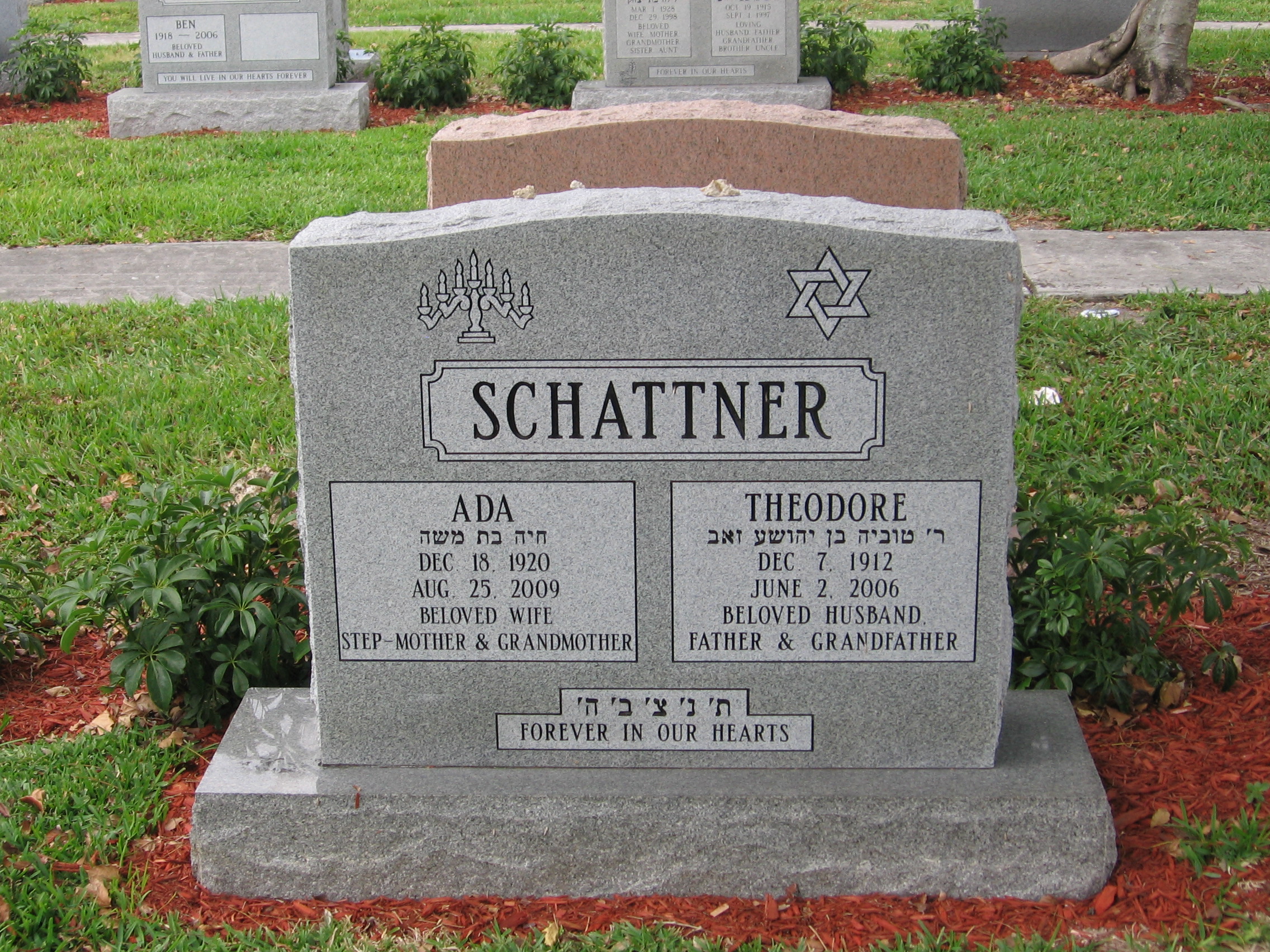Theodore Schattner