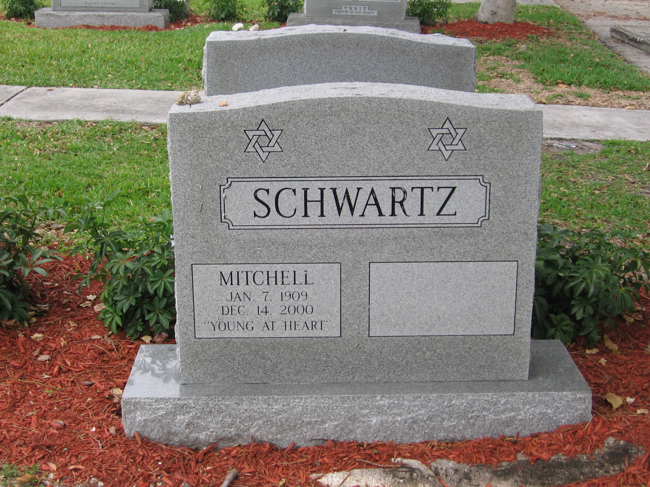 Mitchell Schwartz