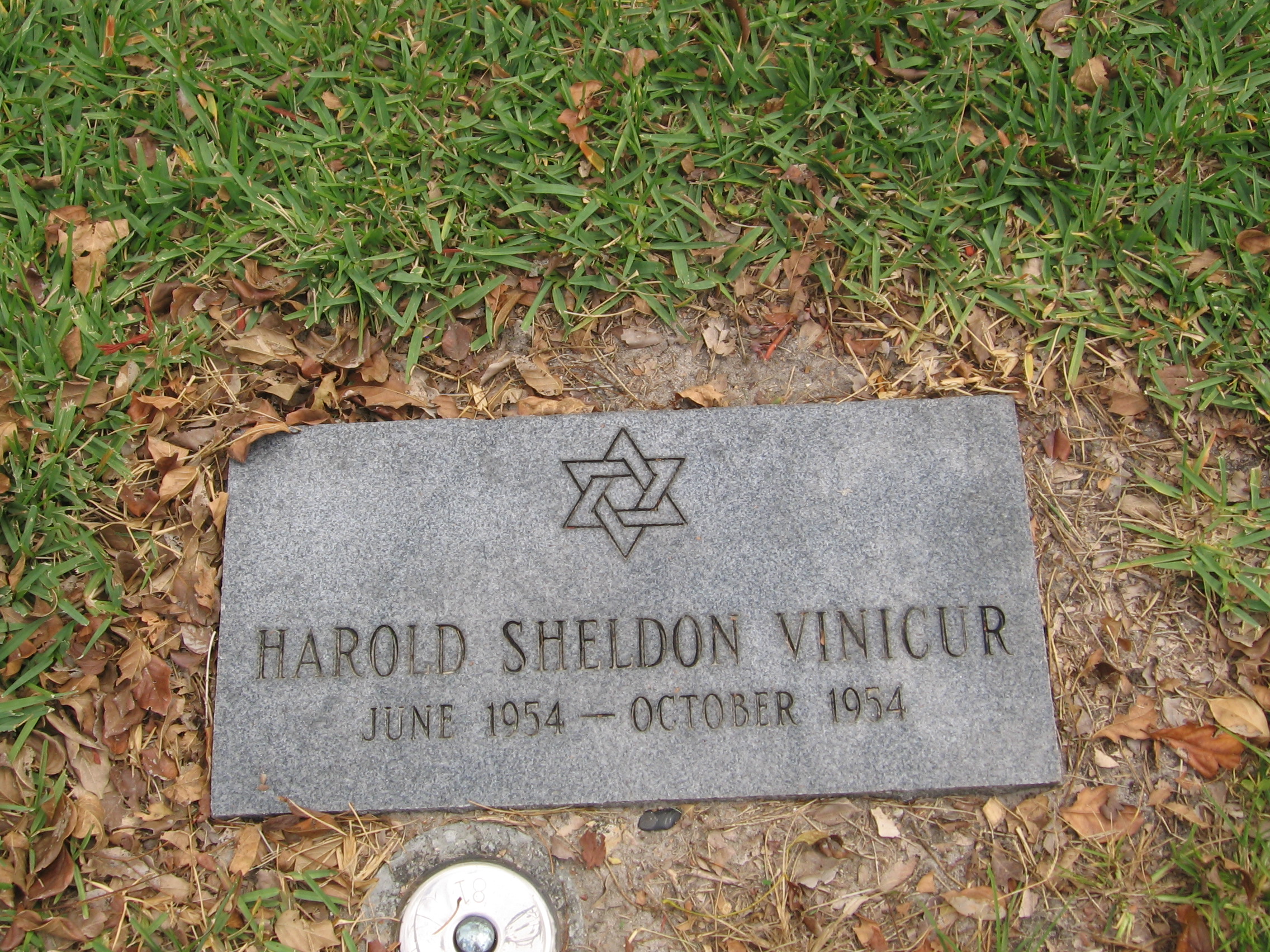 Harold Sheldon Vinicur