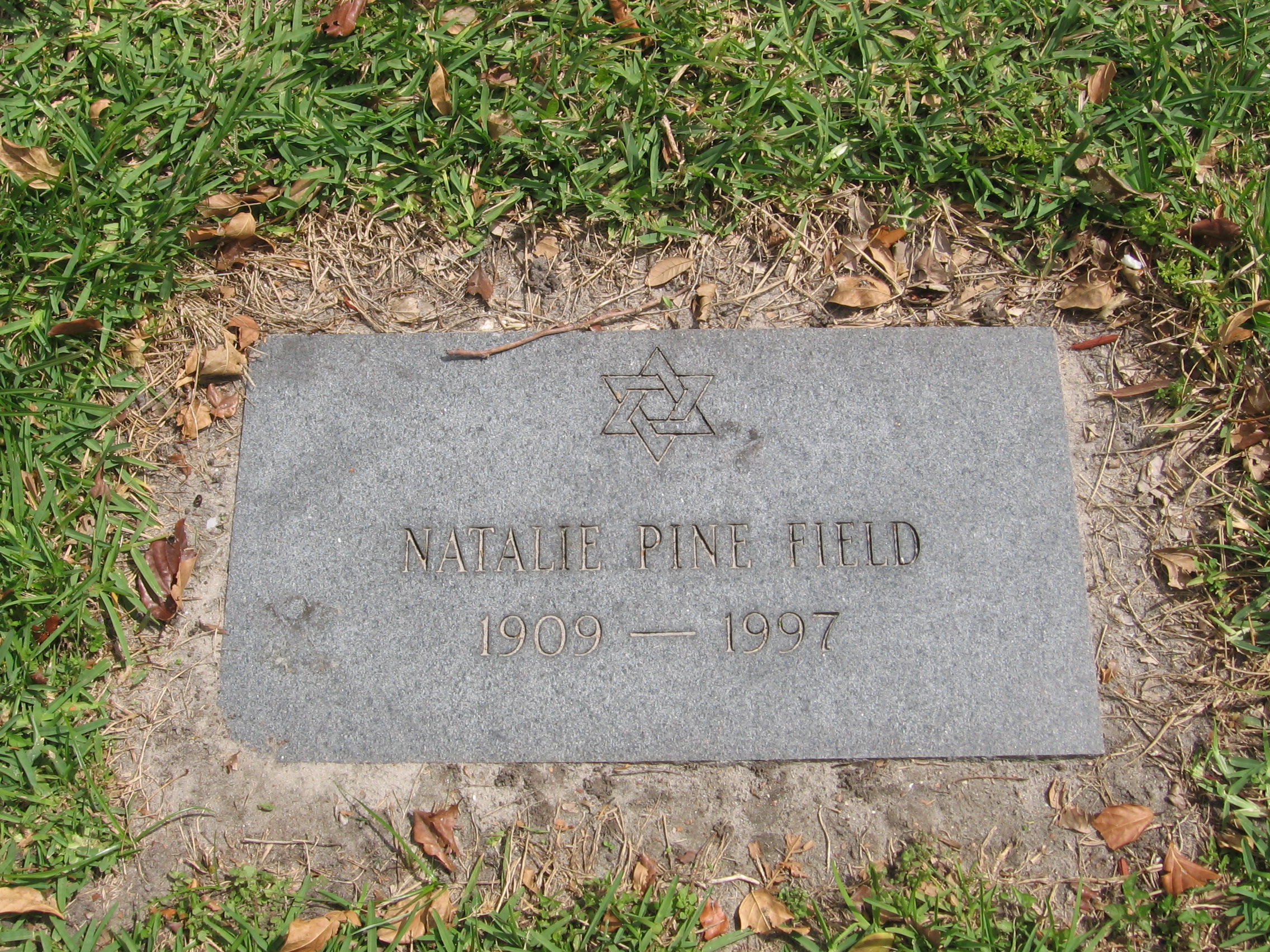 Natalie Pine Field