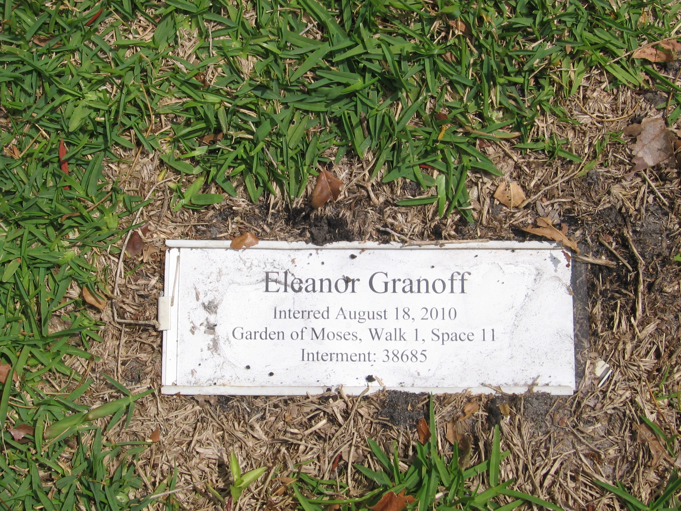 Eleanor Granoff