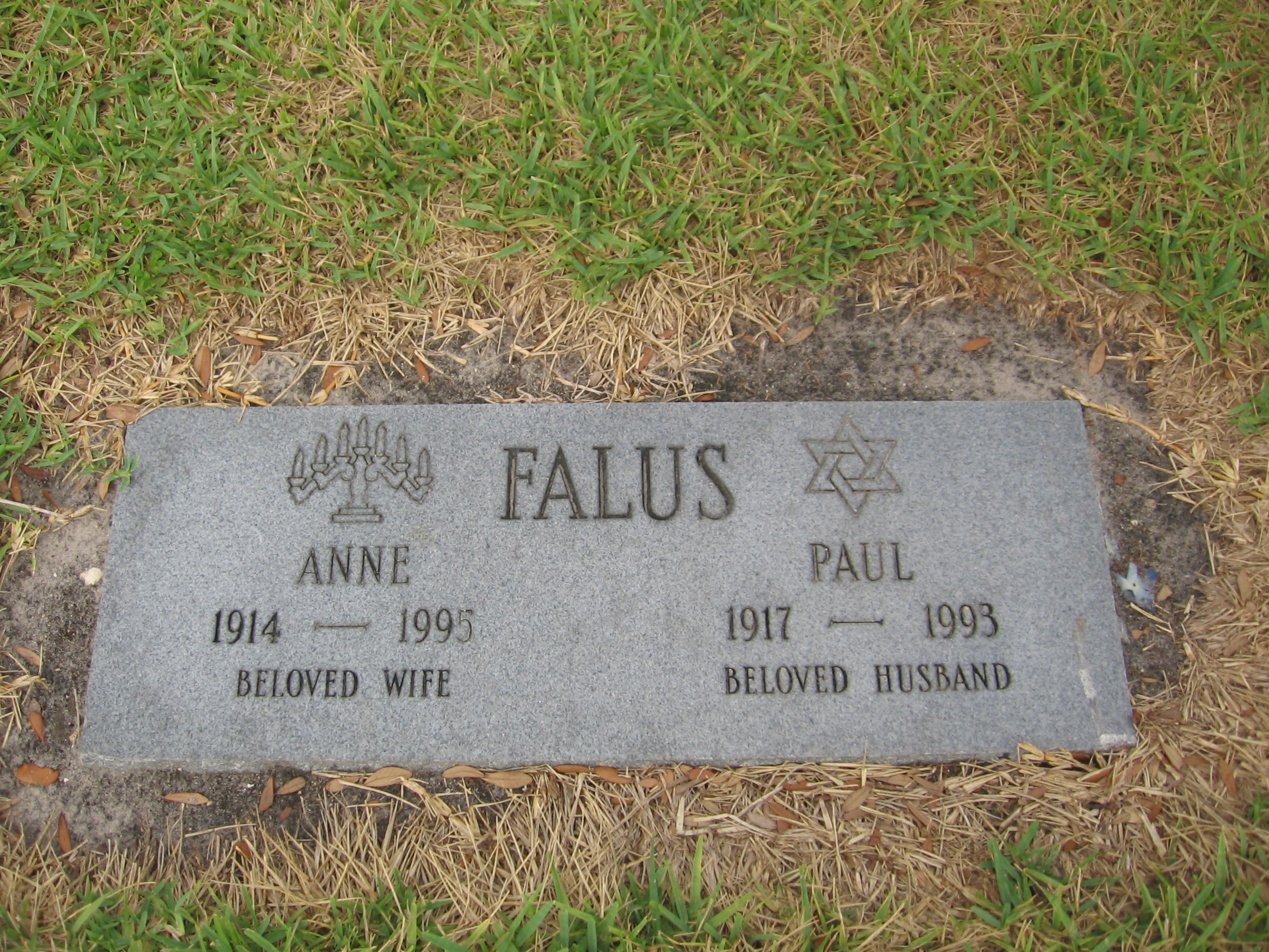 Anne Falus