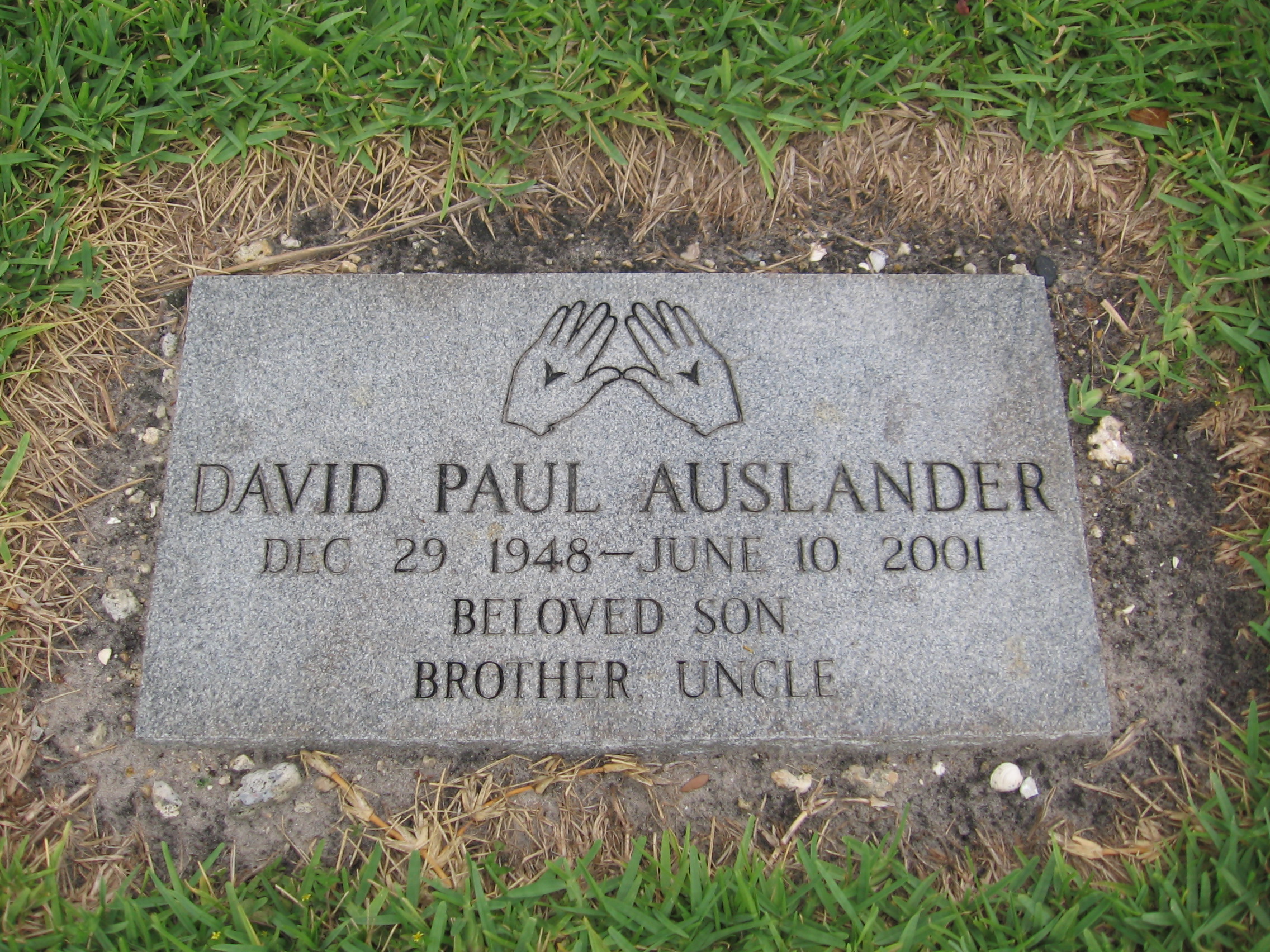 David Paul Auslander