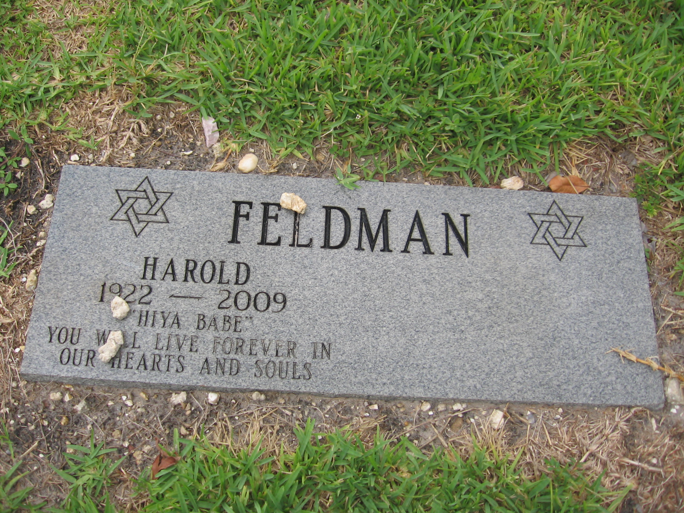 Harold Feldman