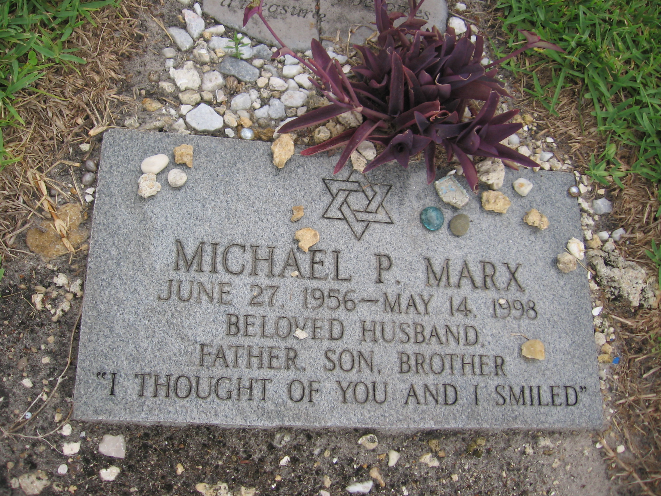 Michael P Marx
