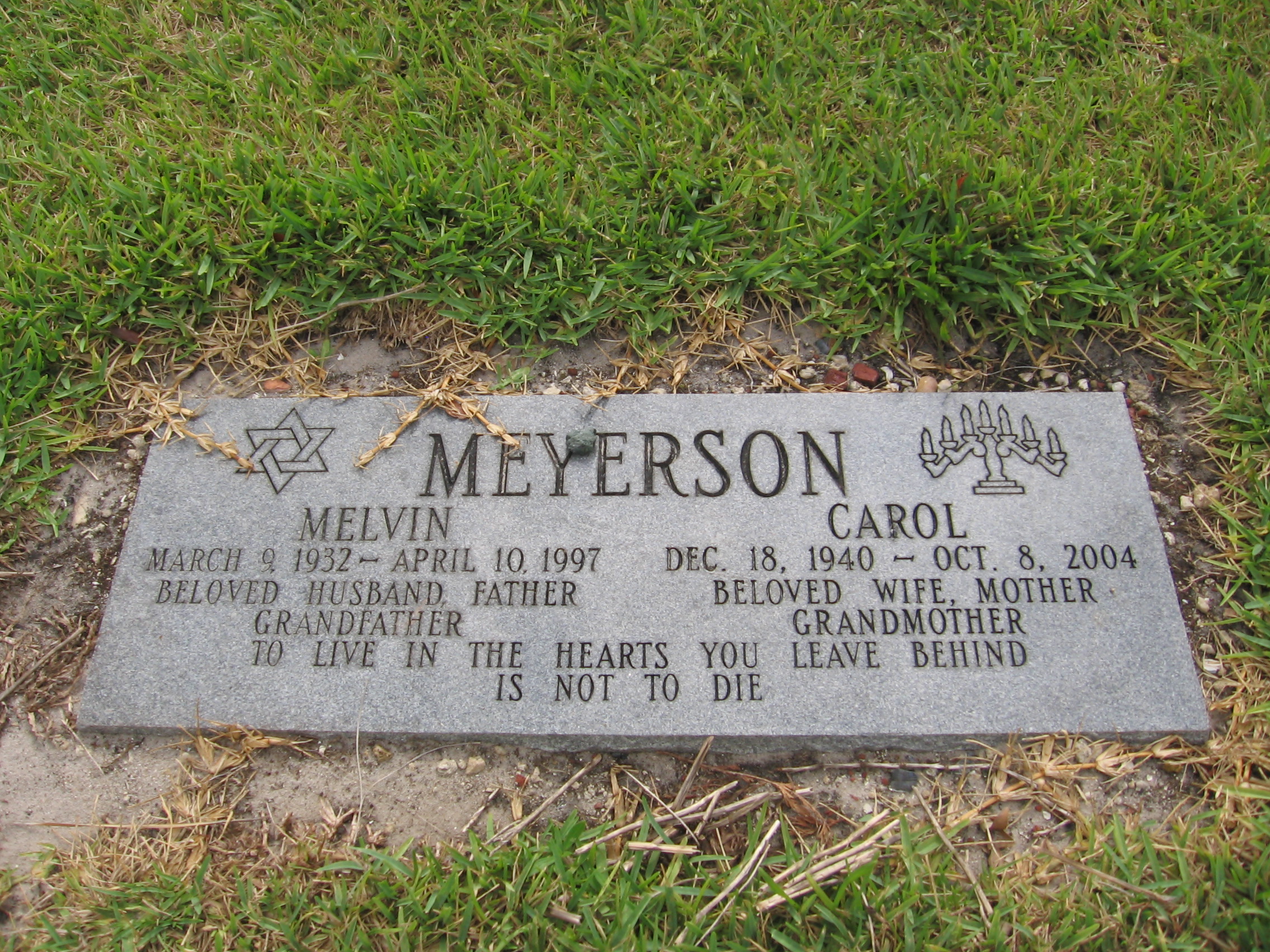 Carol Meyerson