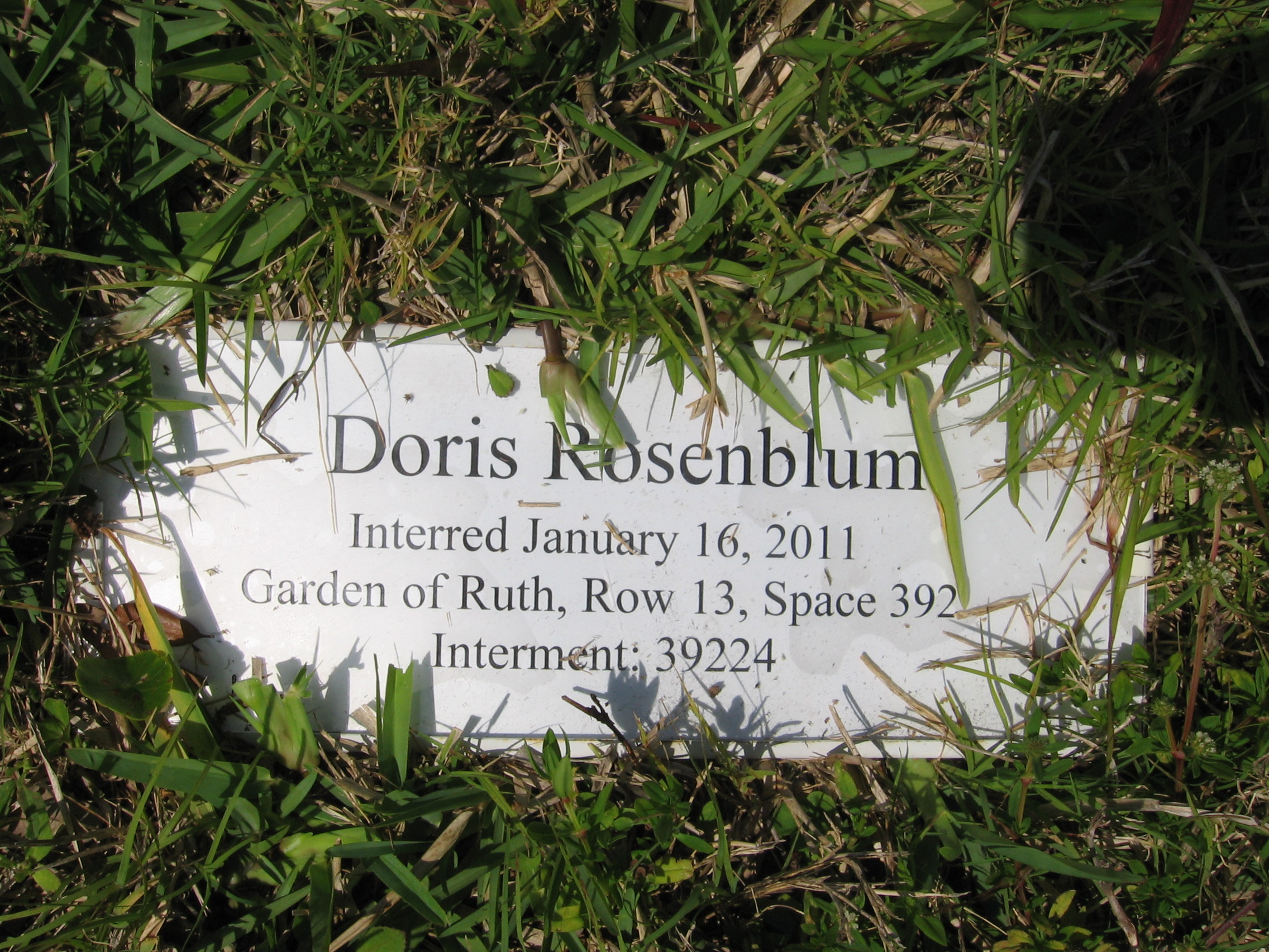 Doris Rosenblum