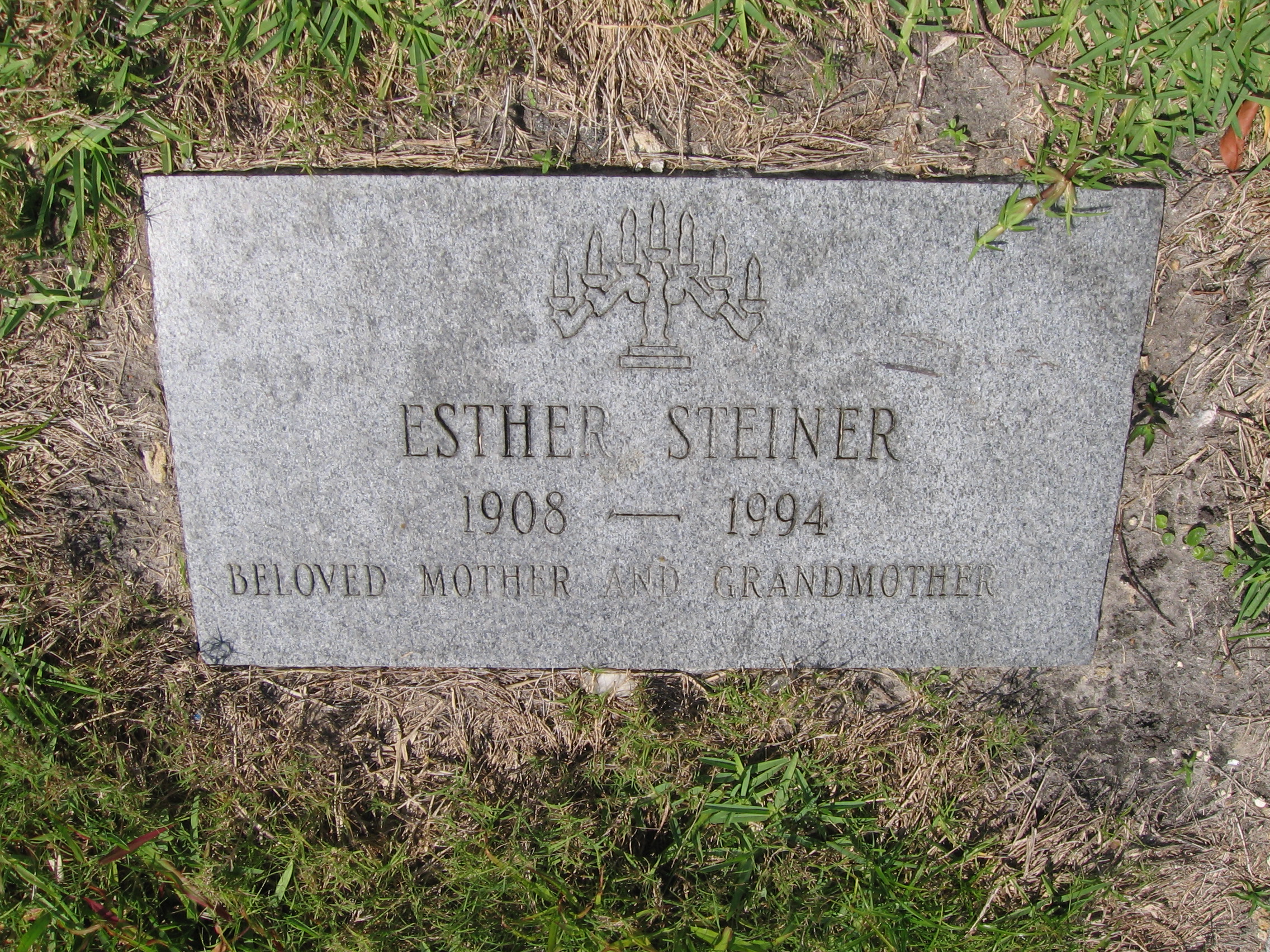 Esther Steiner