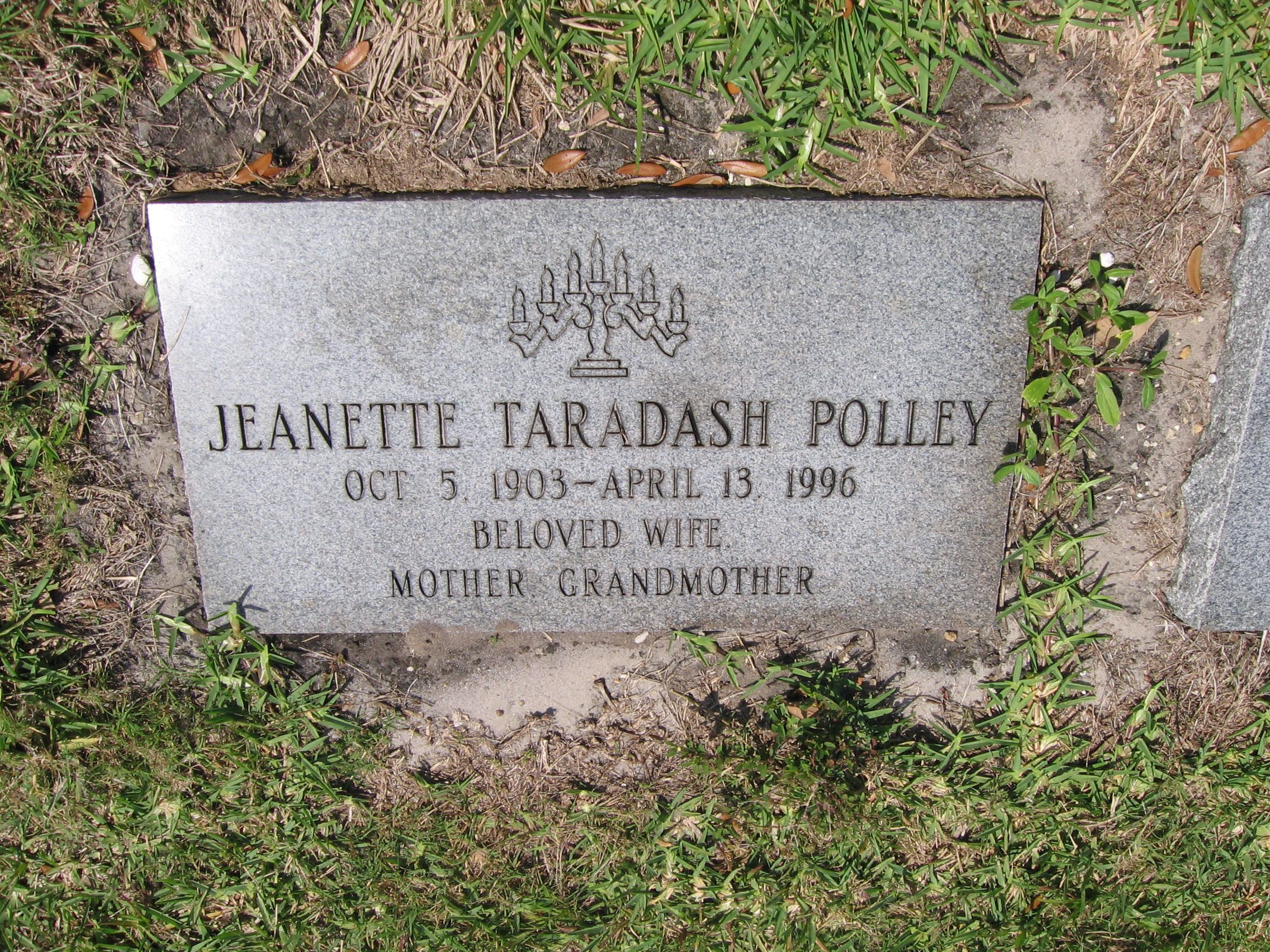 Jeanette Taradash Polley