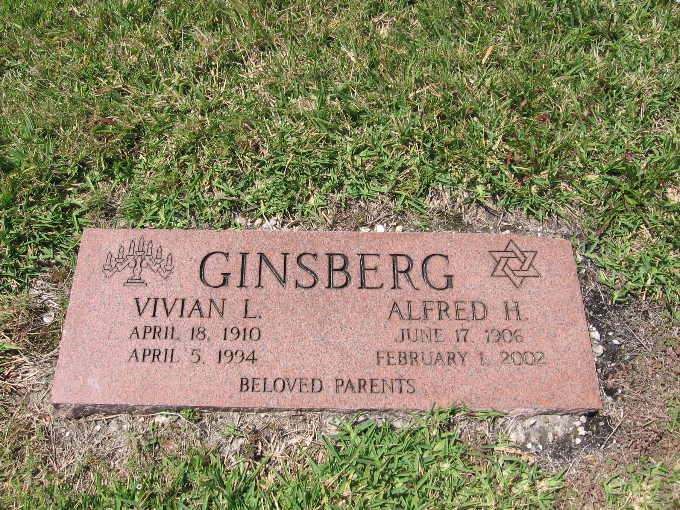 Alfred H Ginsberg