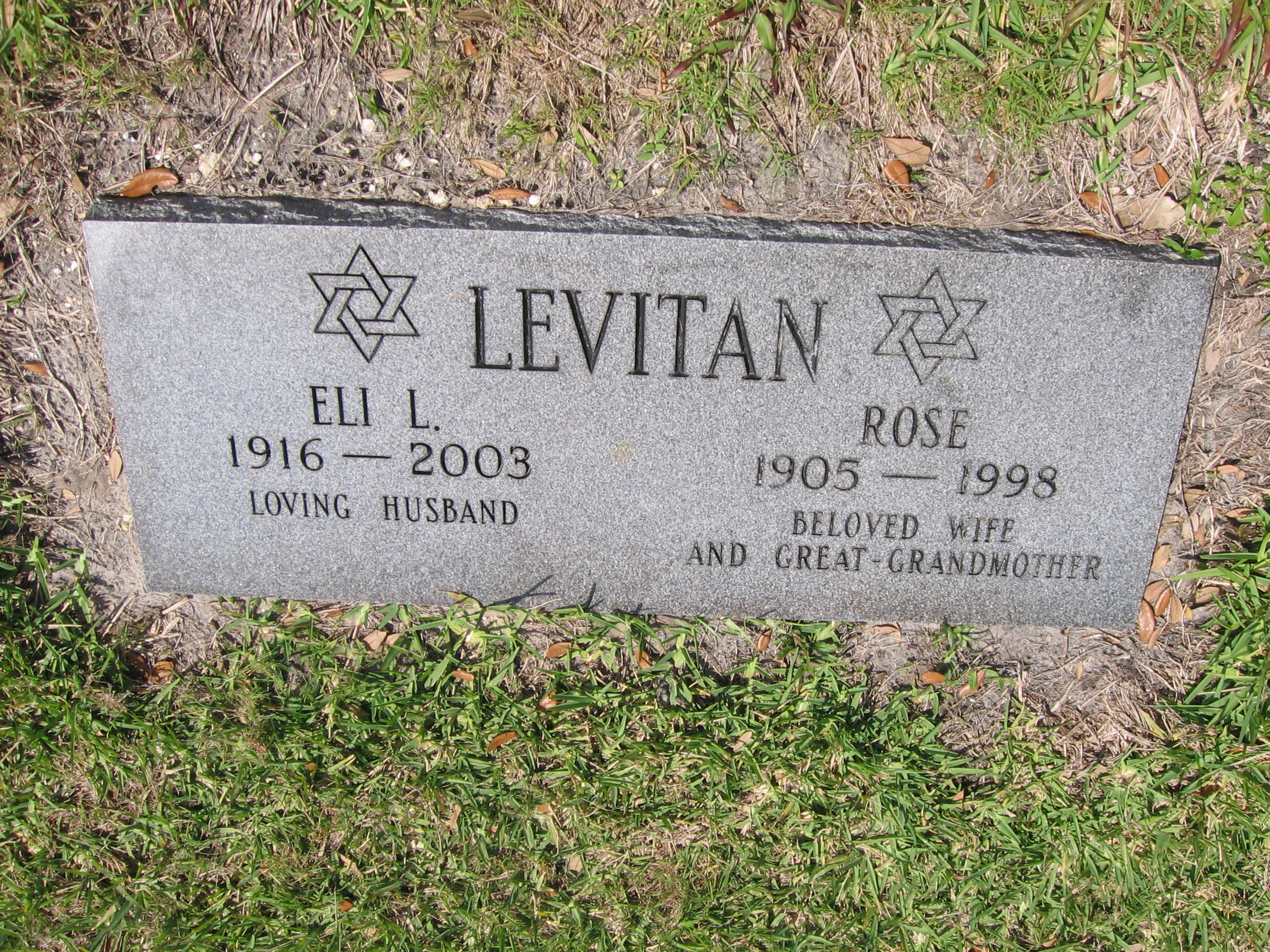 Rose Levitan