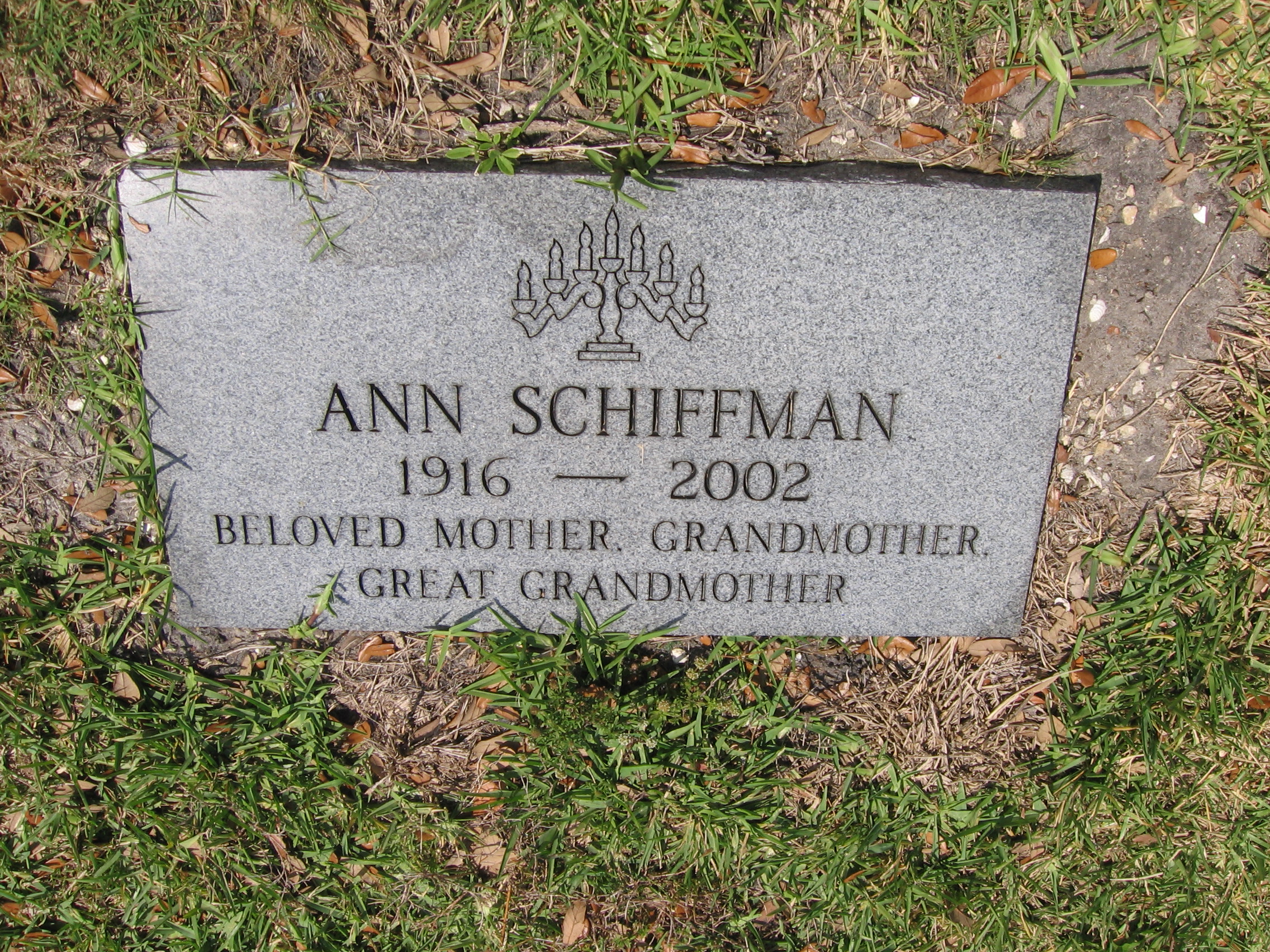 Ann Schiffman