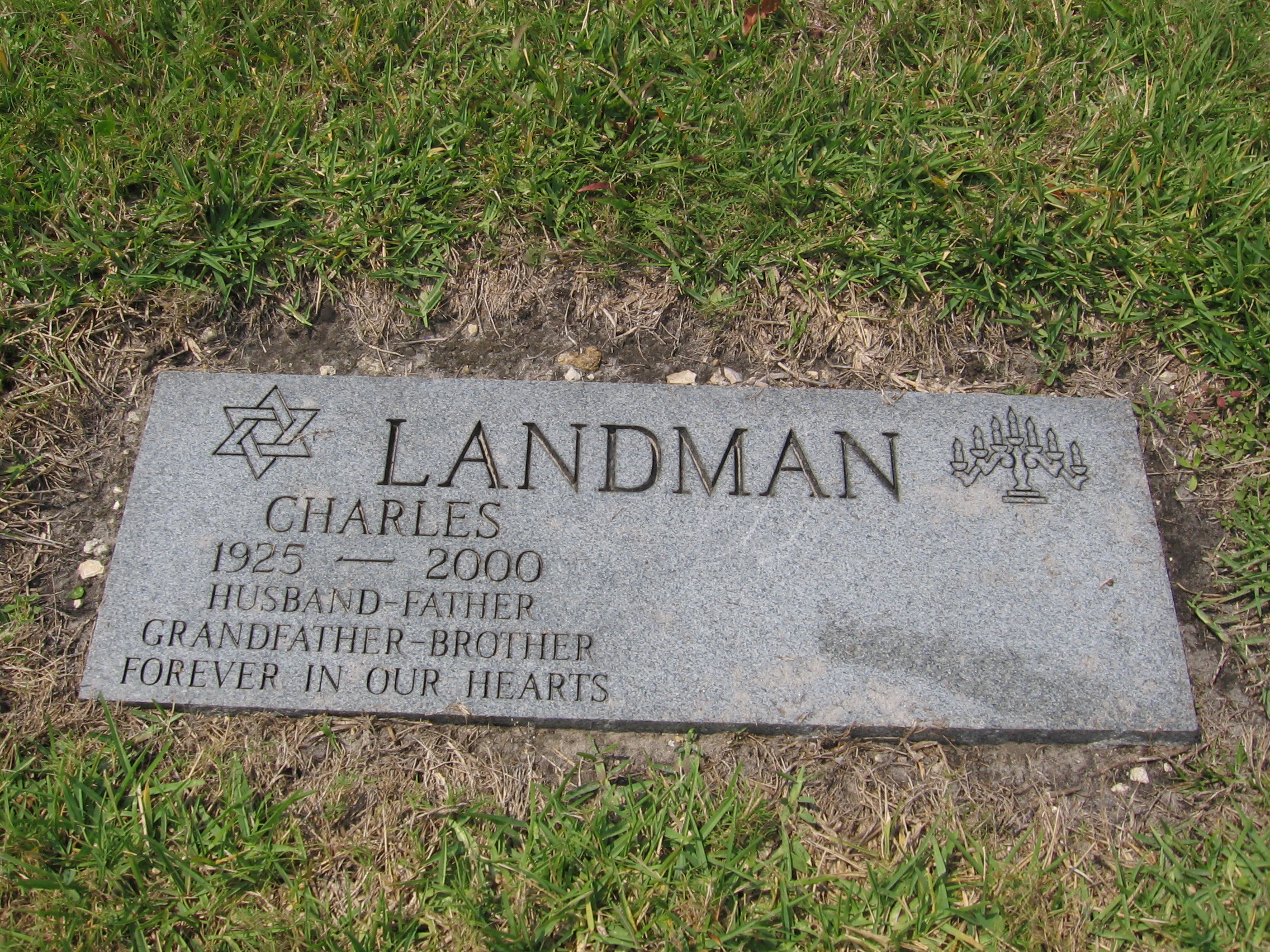 Charles Landman