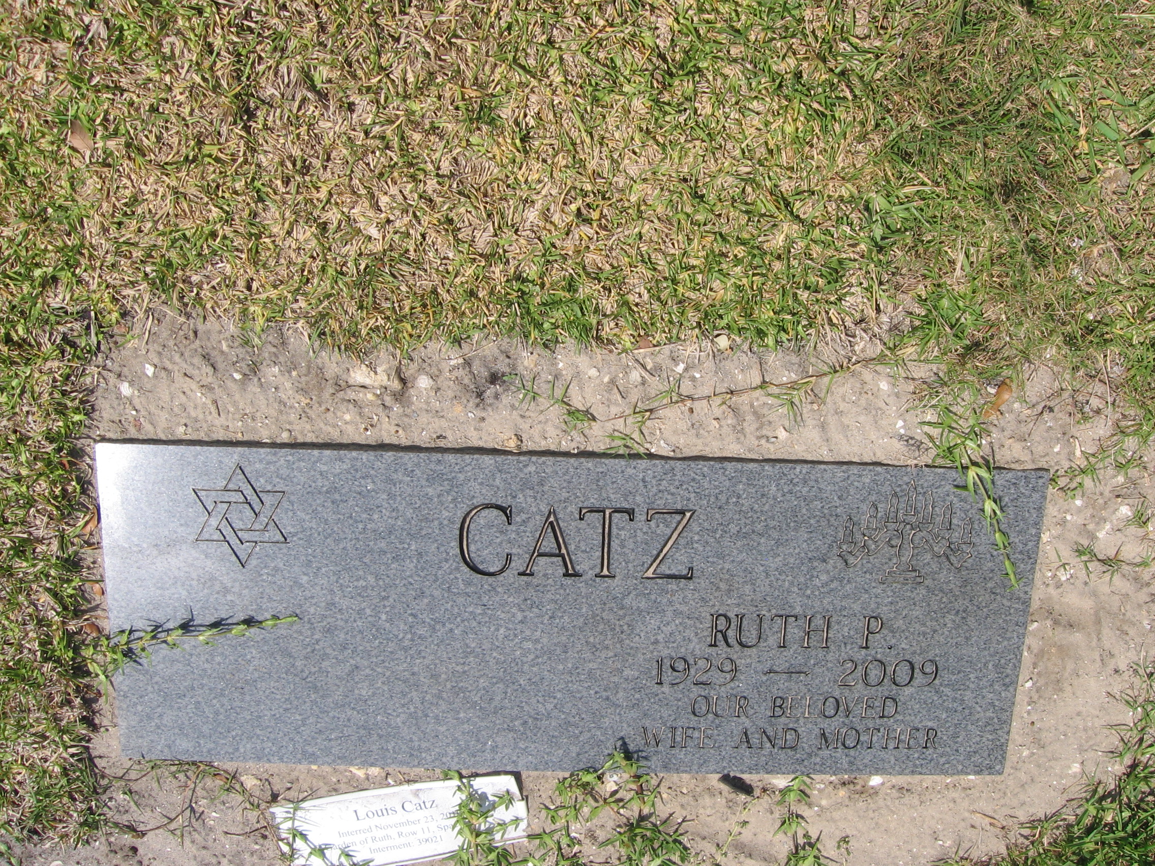 Ruth P Catz