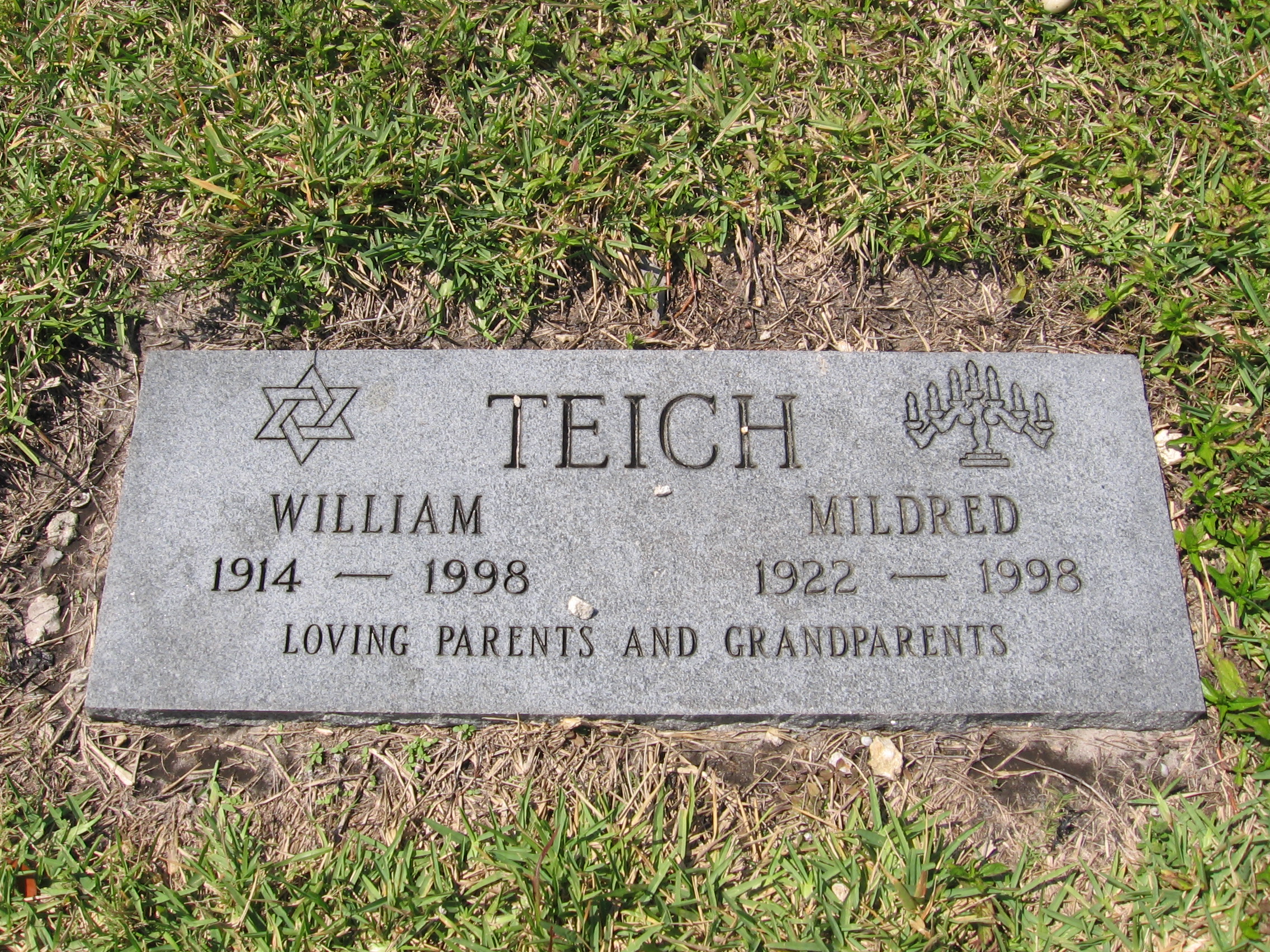 William Teich
