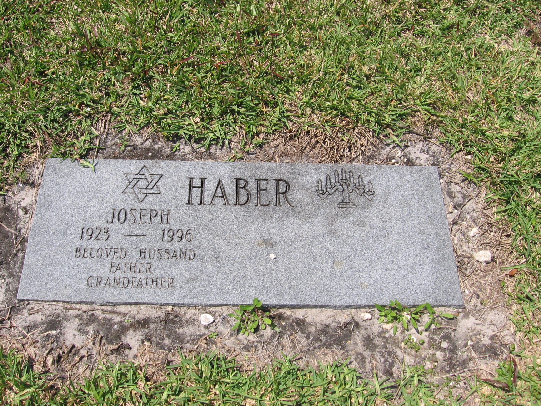Joseph Haber