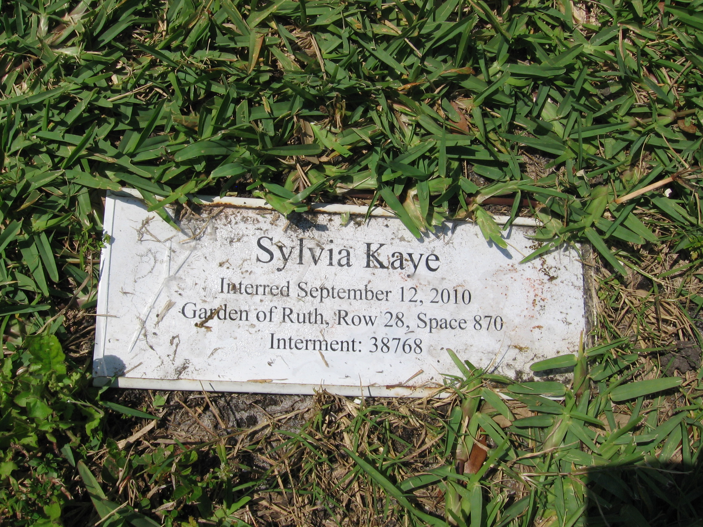 Sylvia Kaye