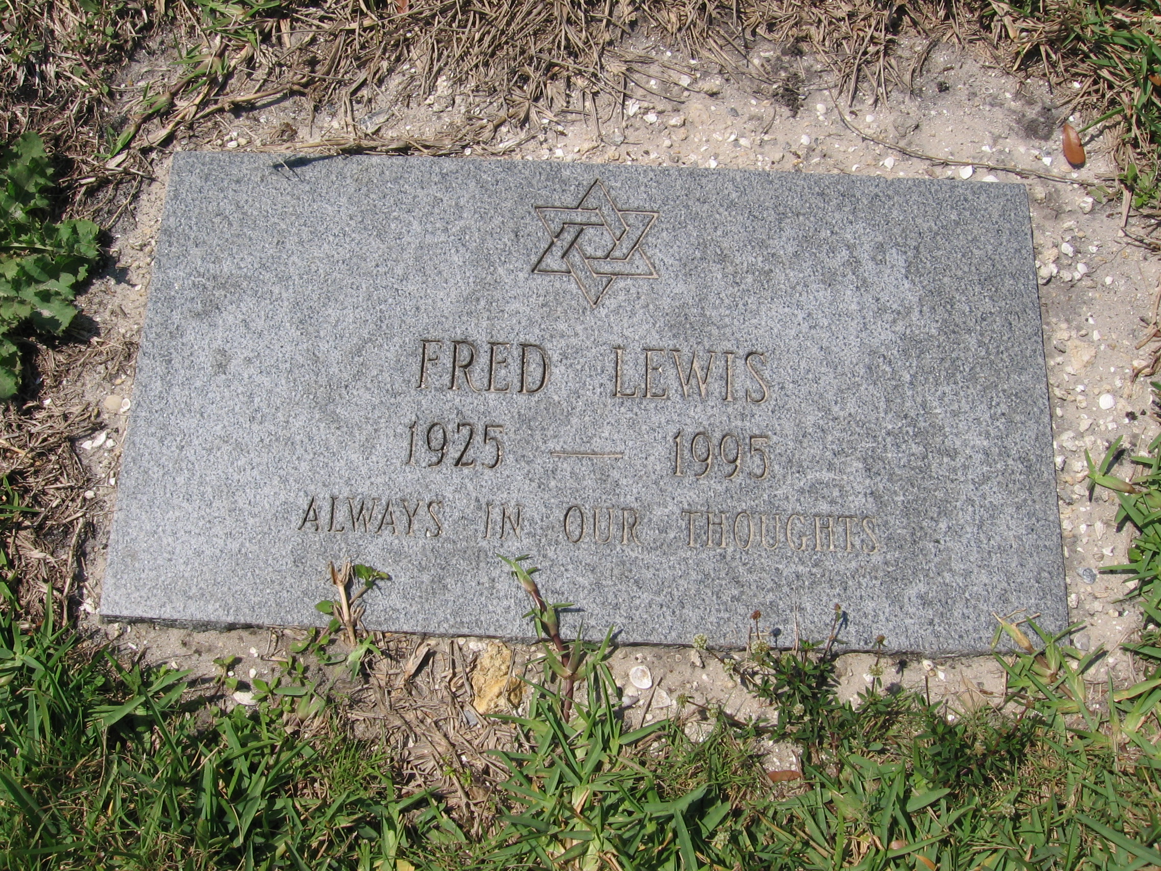 Fred Lewis