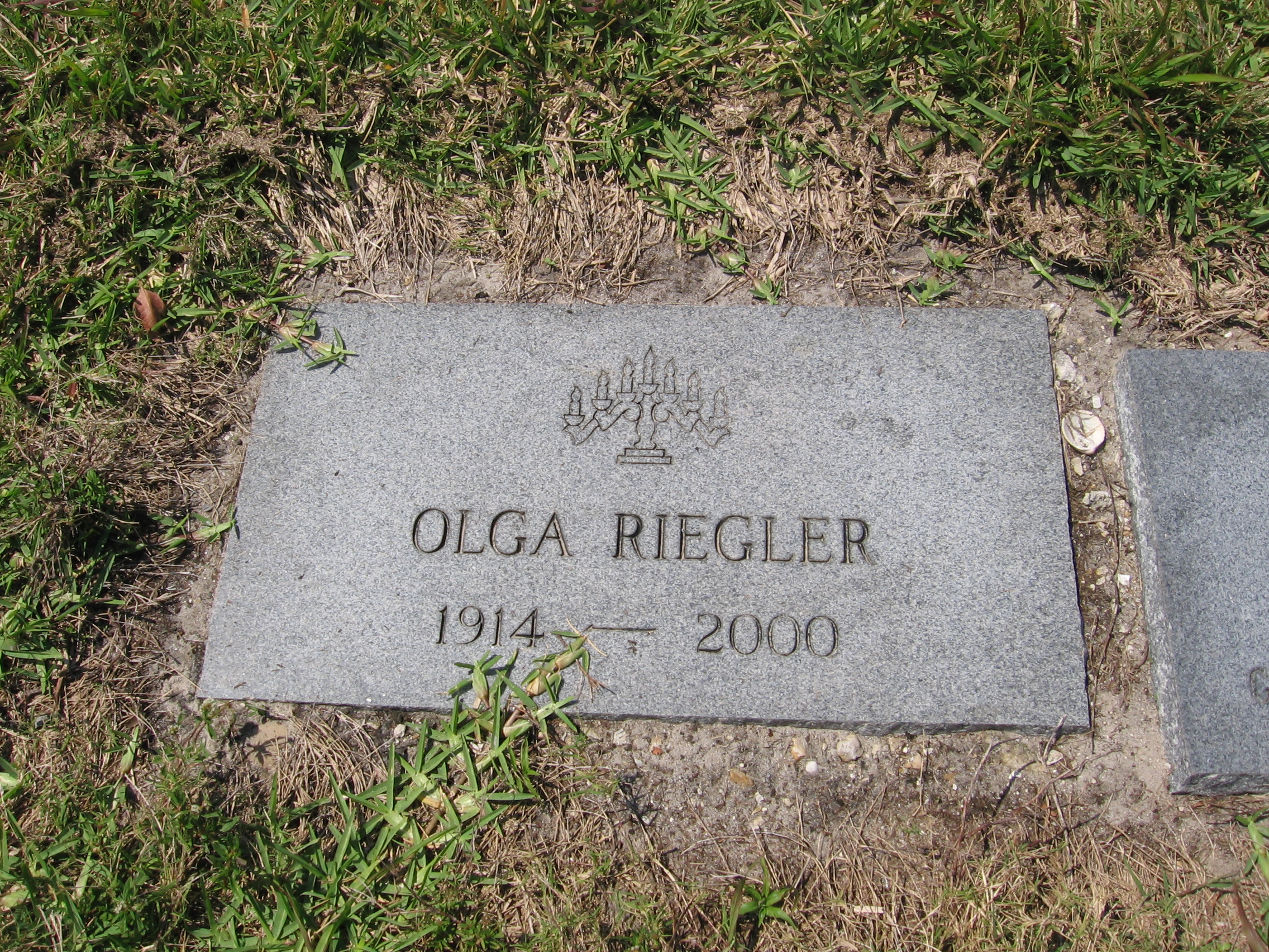Olga Riegler