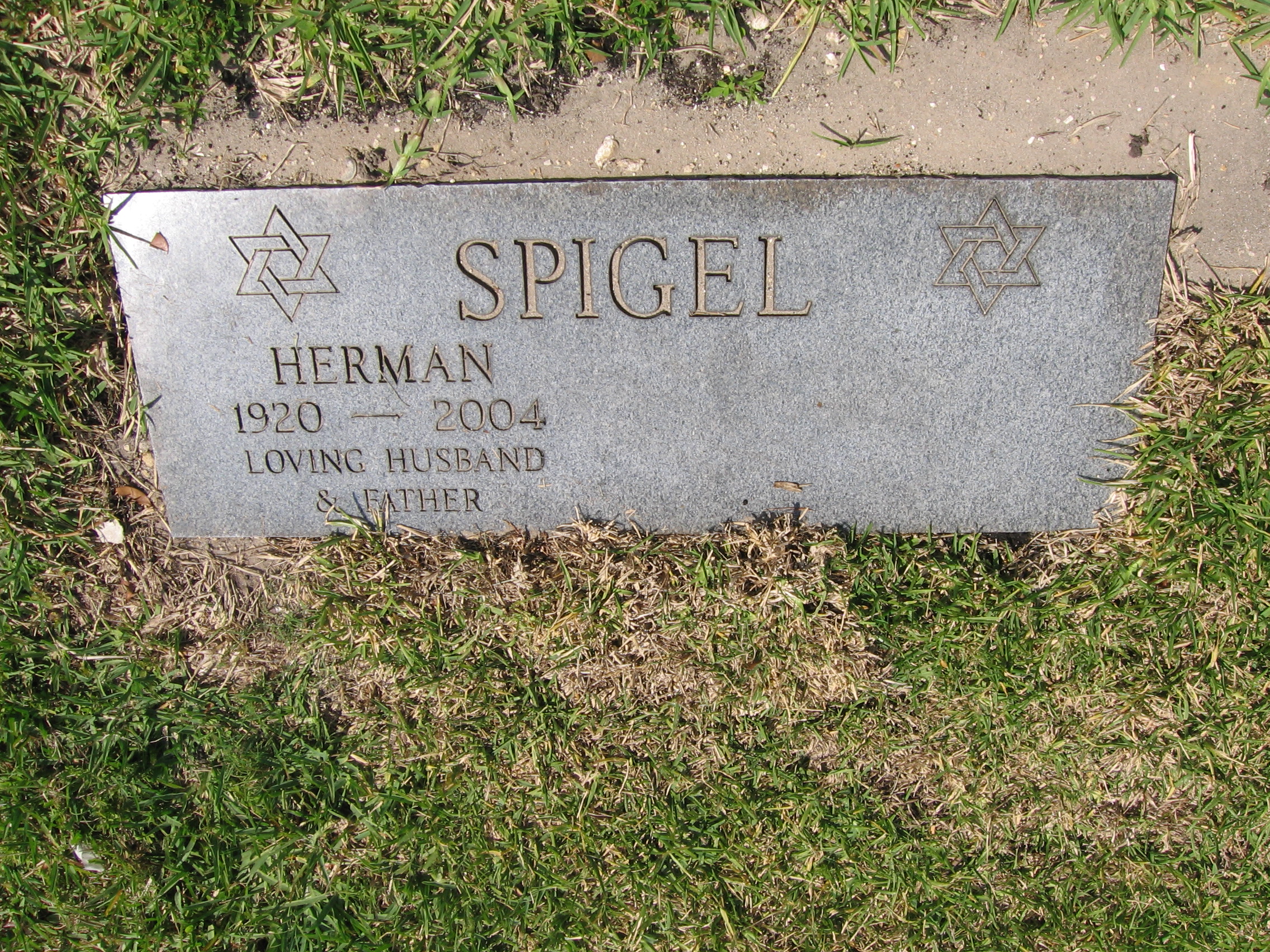 Herman Spigel