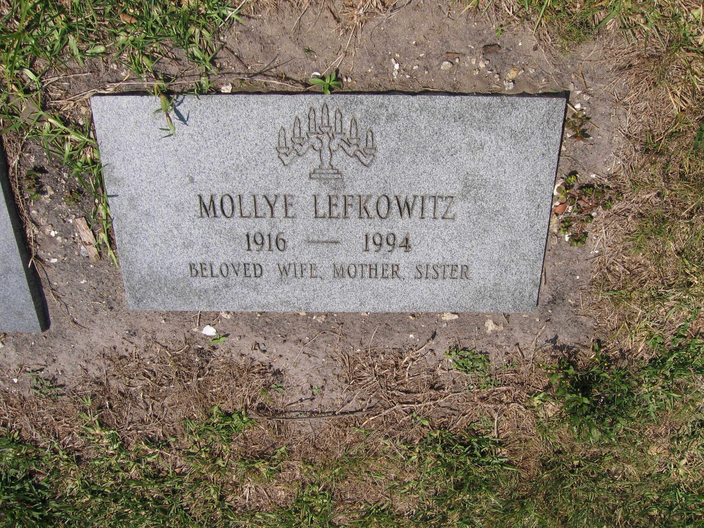 Mollye Lefkowitz