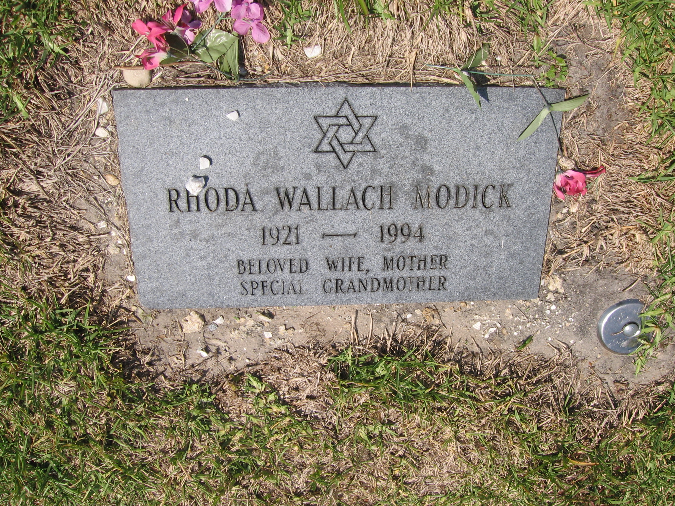 Rhoda Wallach Modick