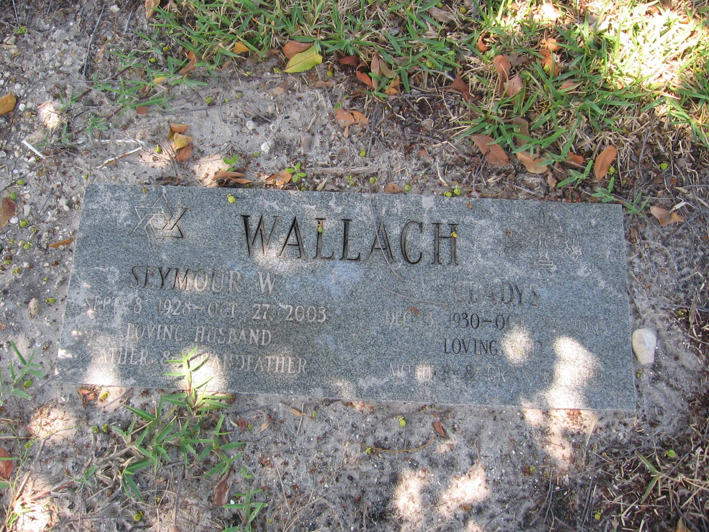 Seymour W Wallach