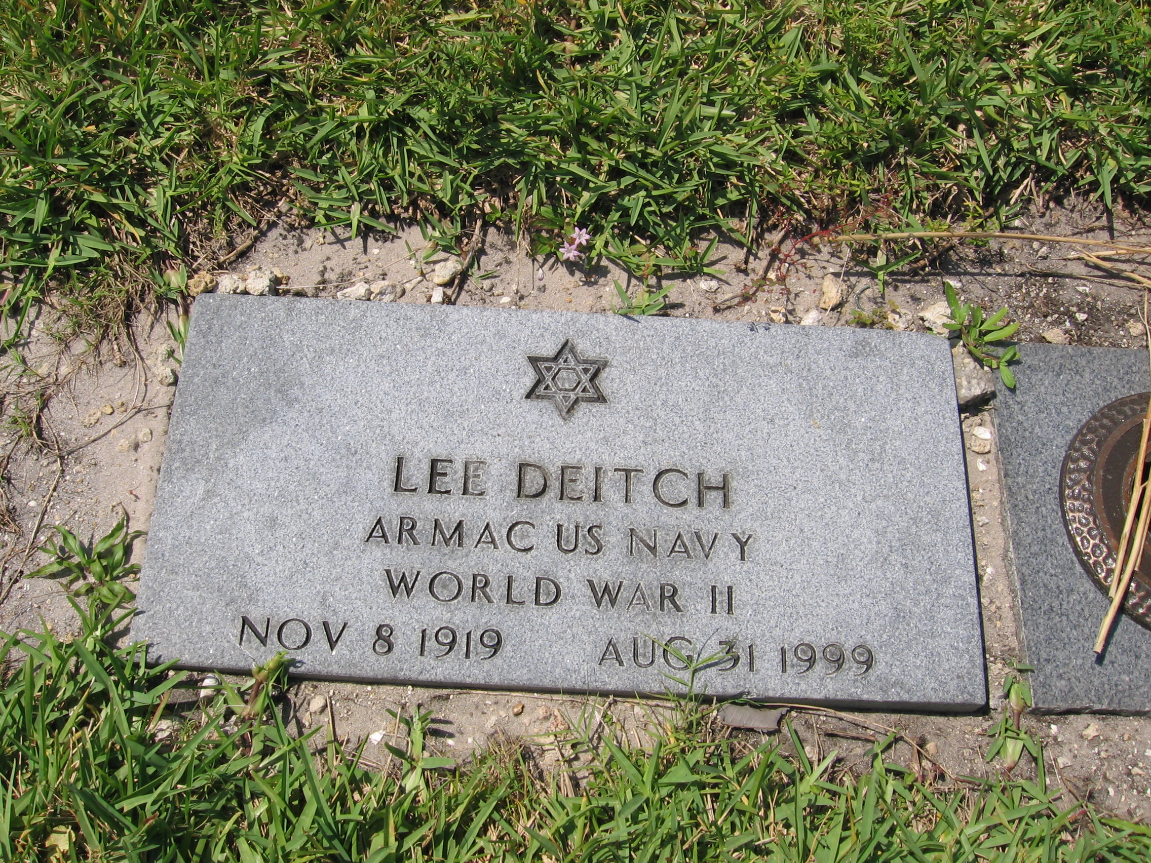 Lee Deitch