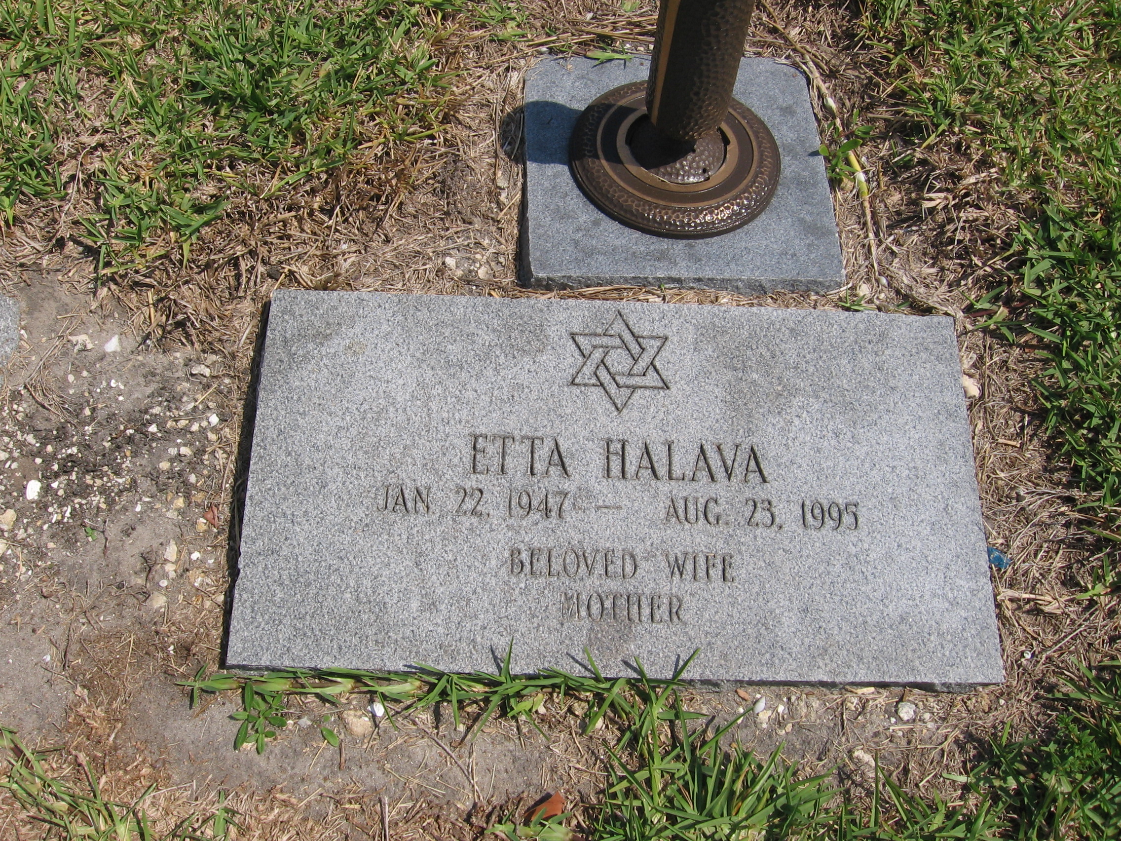 Etta Halava