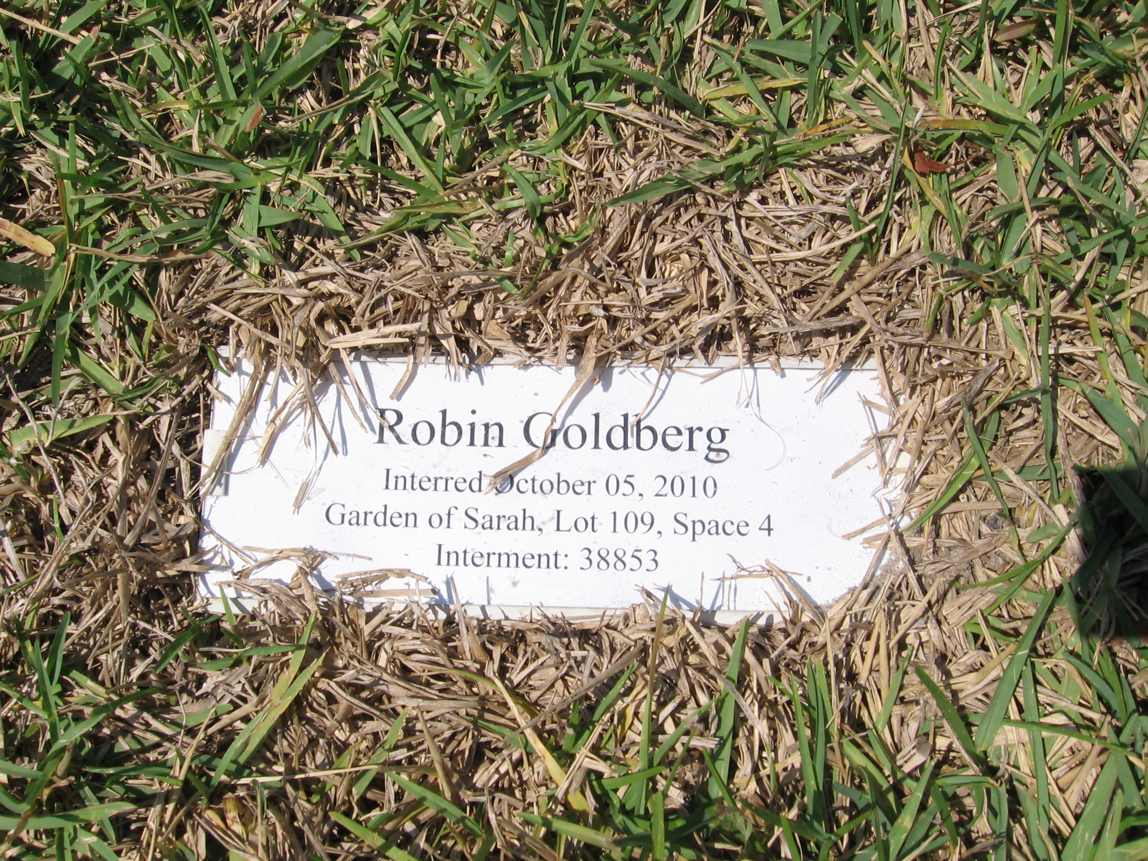 Robin Goldberg