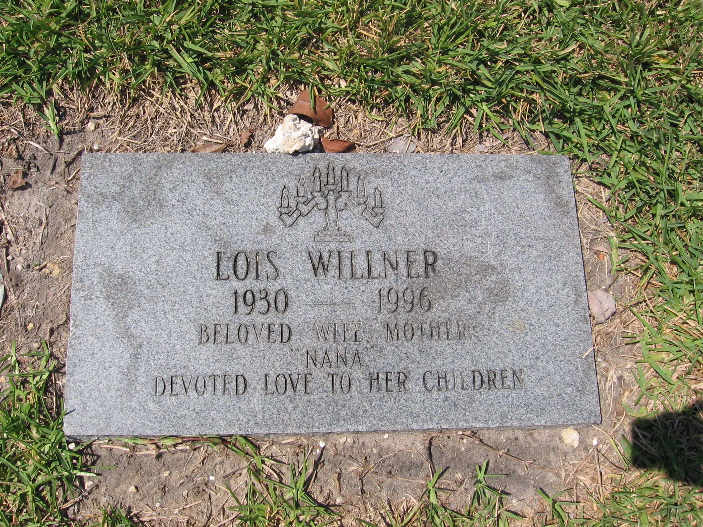 Lois Willner