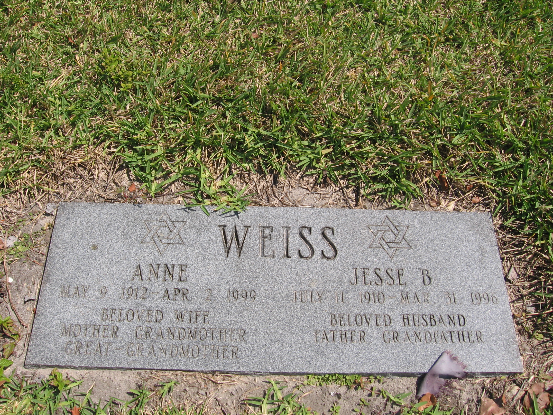 Anne Weiss