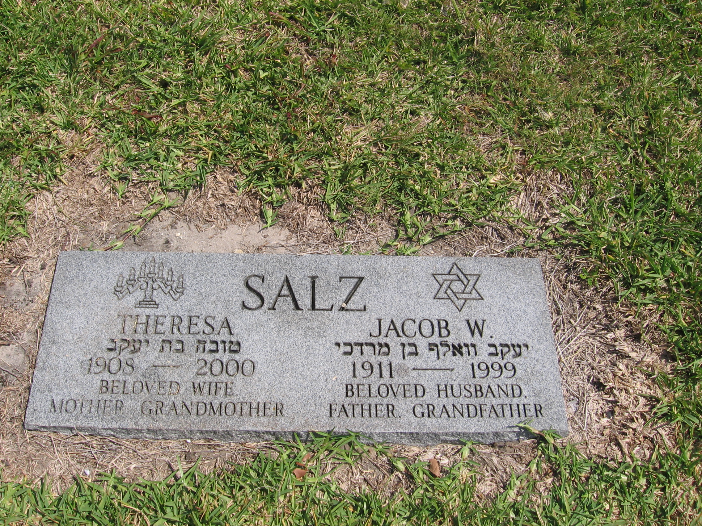 Theresa Salz