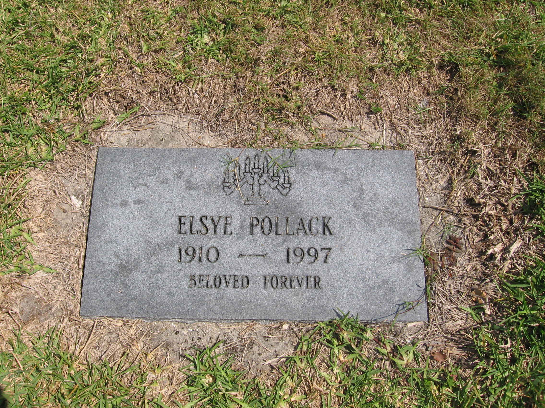 Elsye Pollack